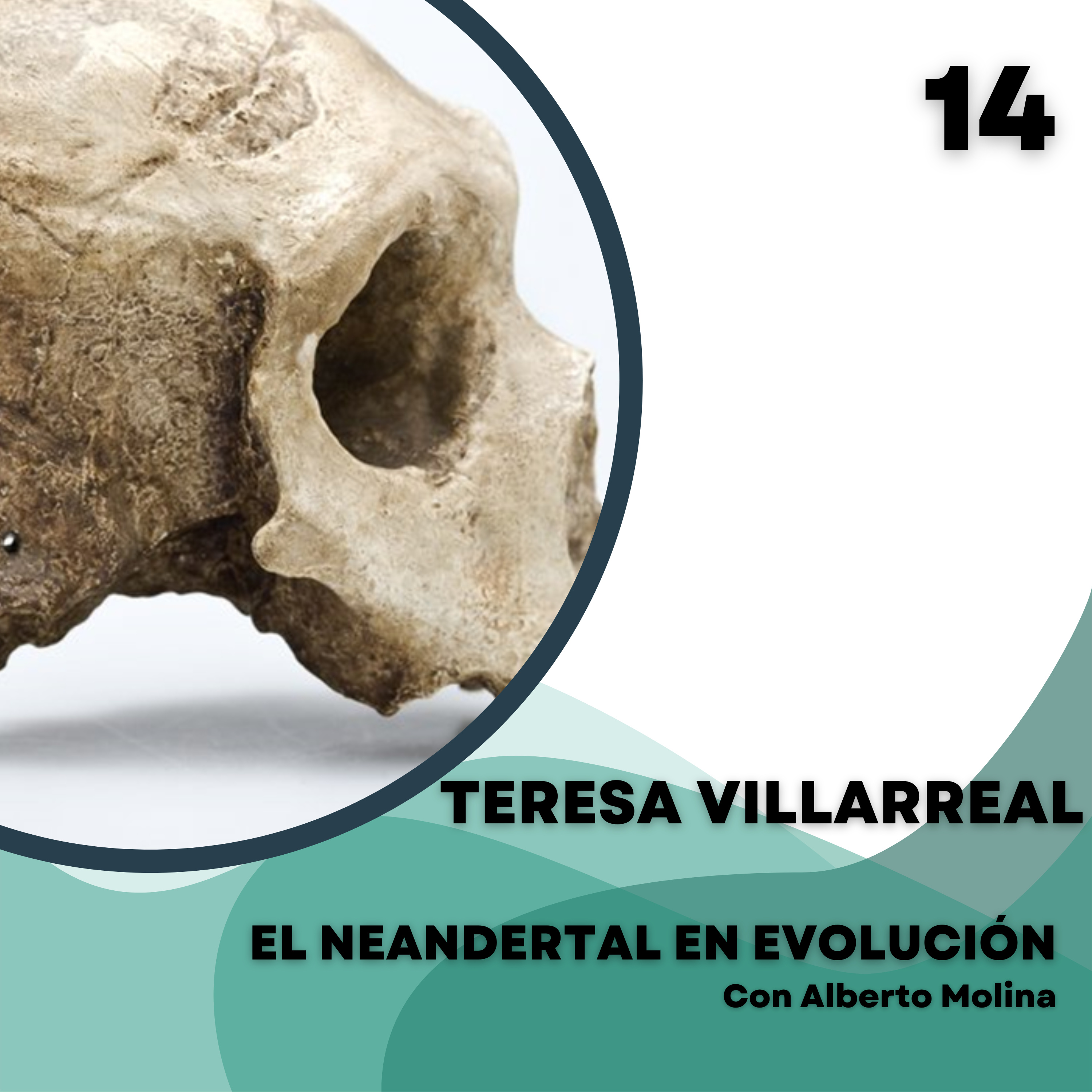 El Neandertal en evolución