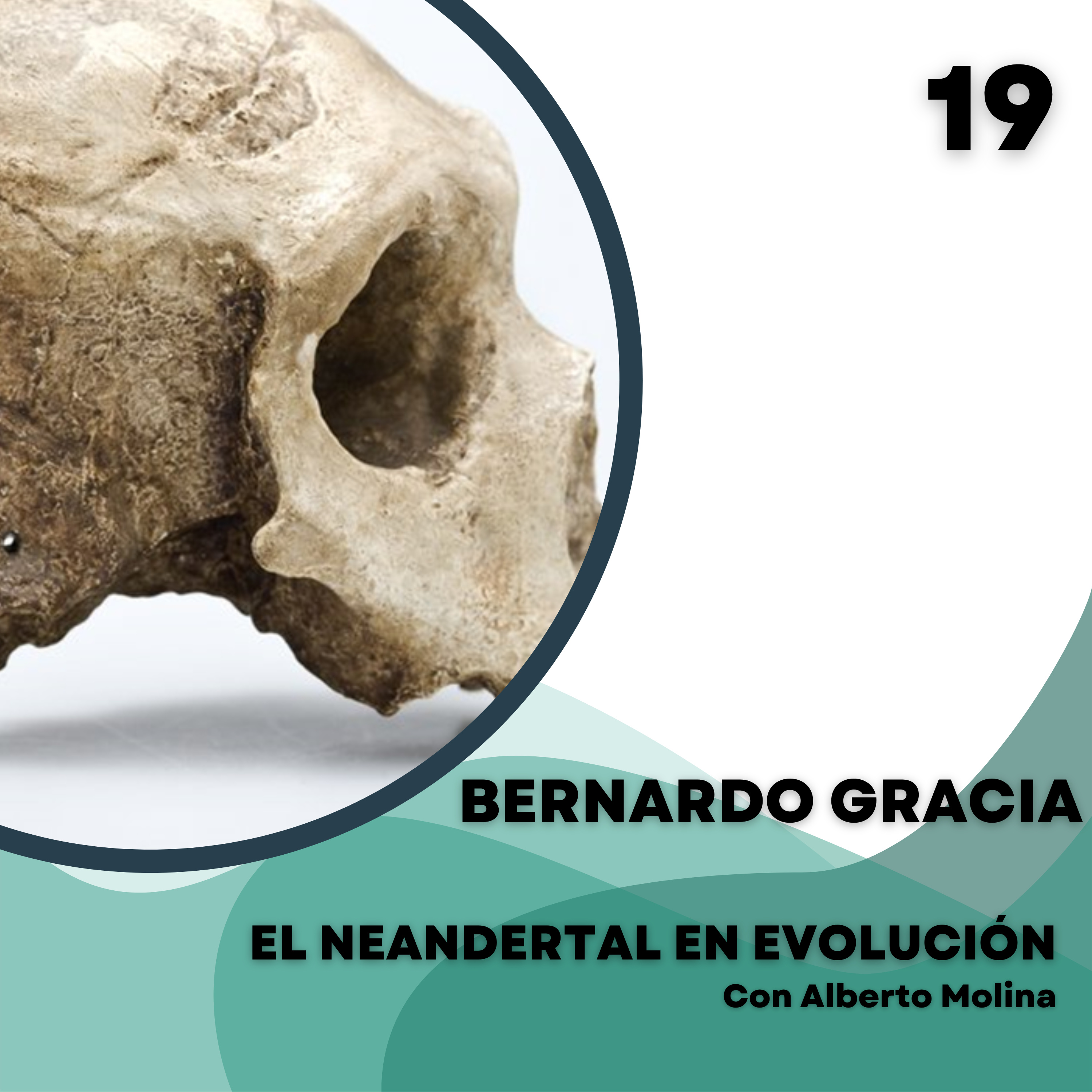 El Neandertal en evolución
