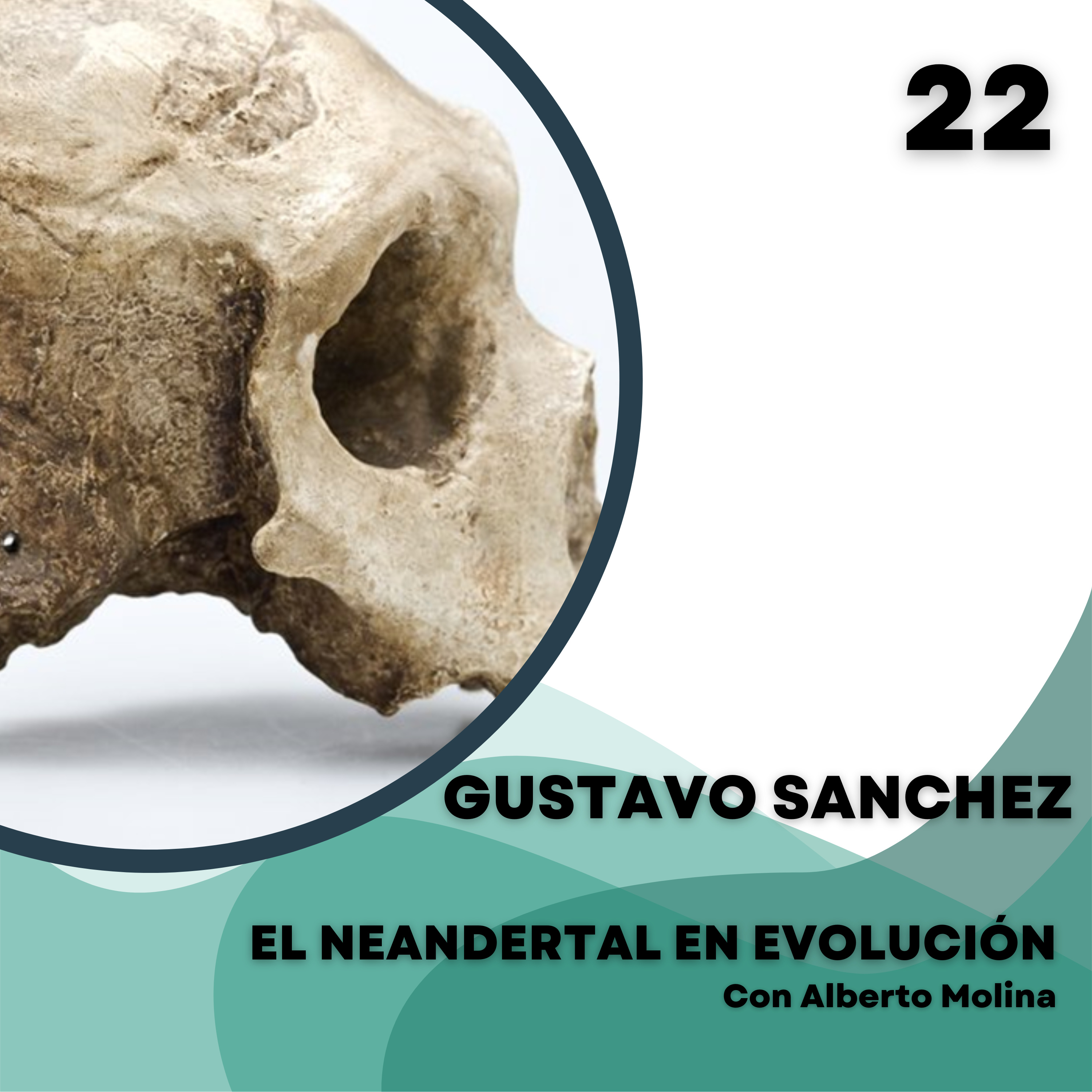 El Neandertal en evolución