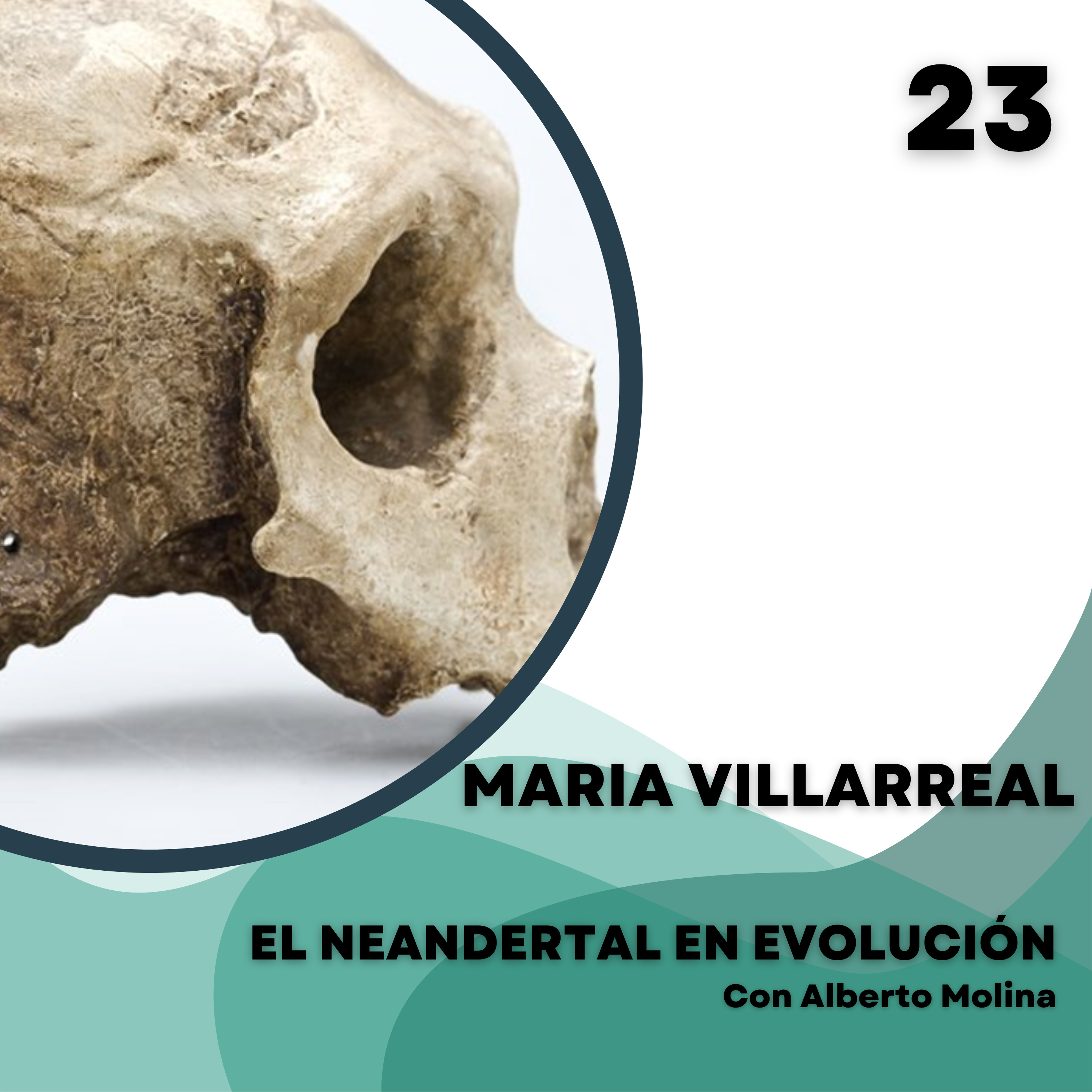 El Neandertal en evolución