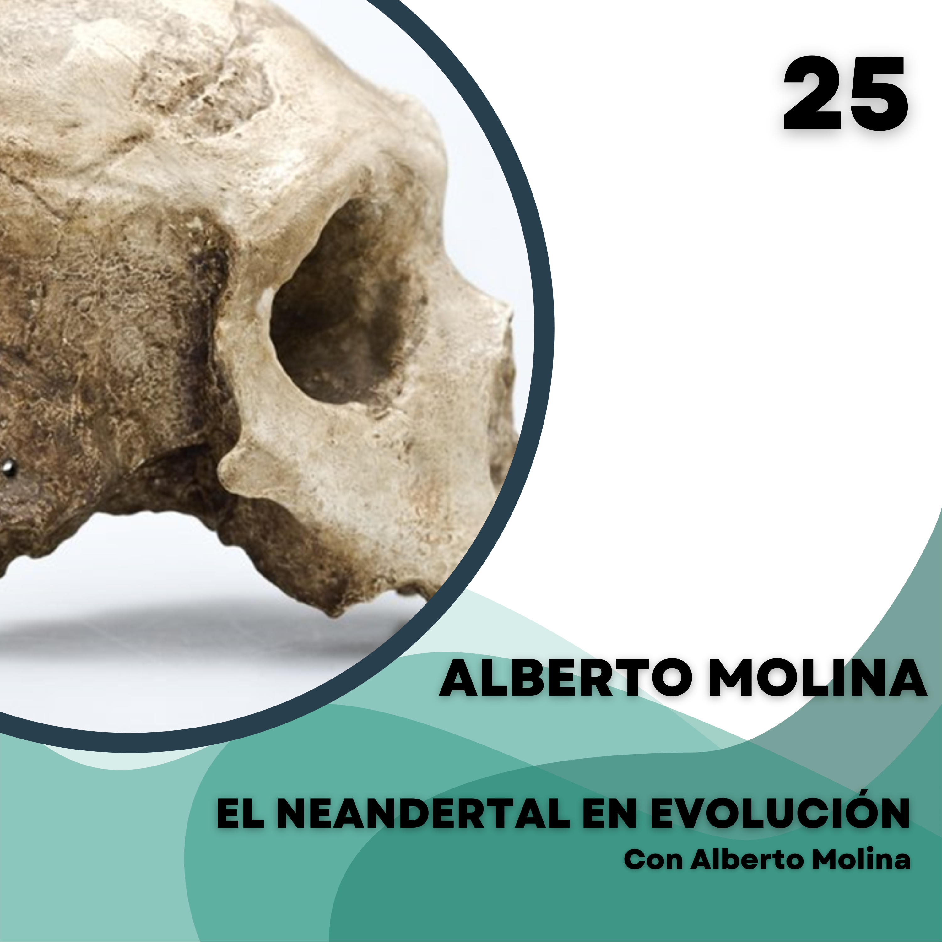 El Neandertal en evolución
