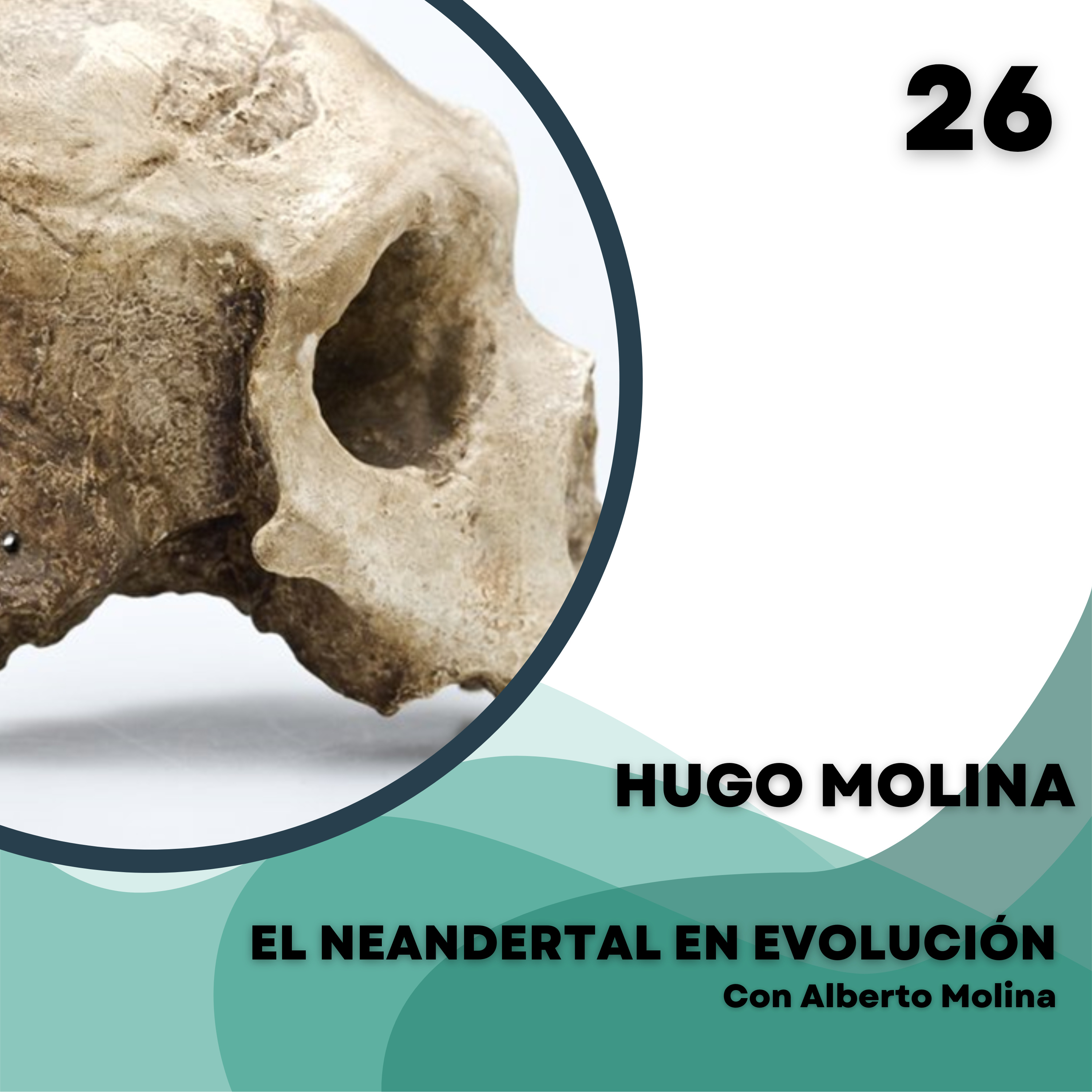El Neandertal en evolución