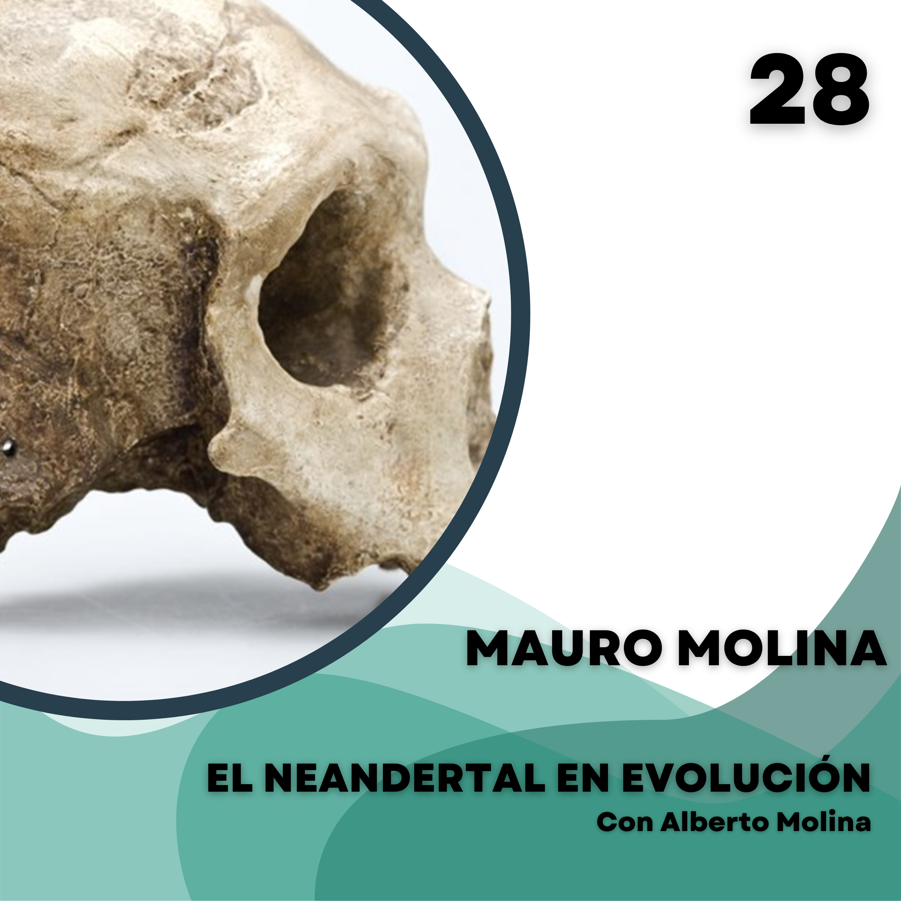 El Neandertal en evolución