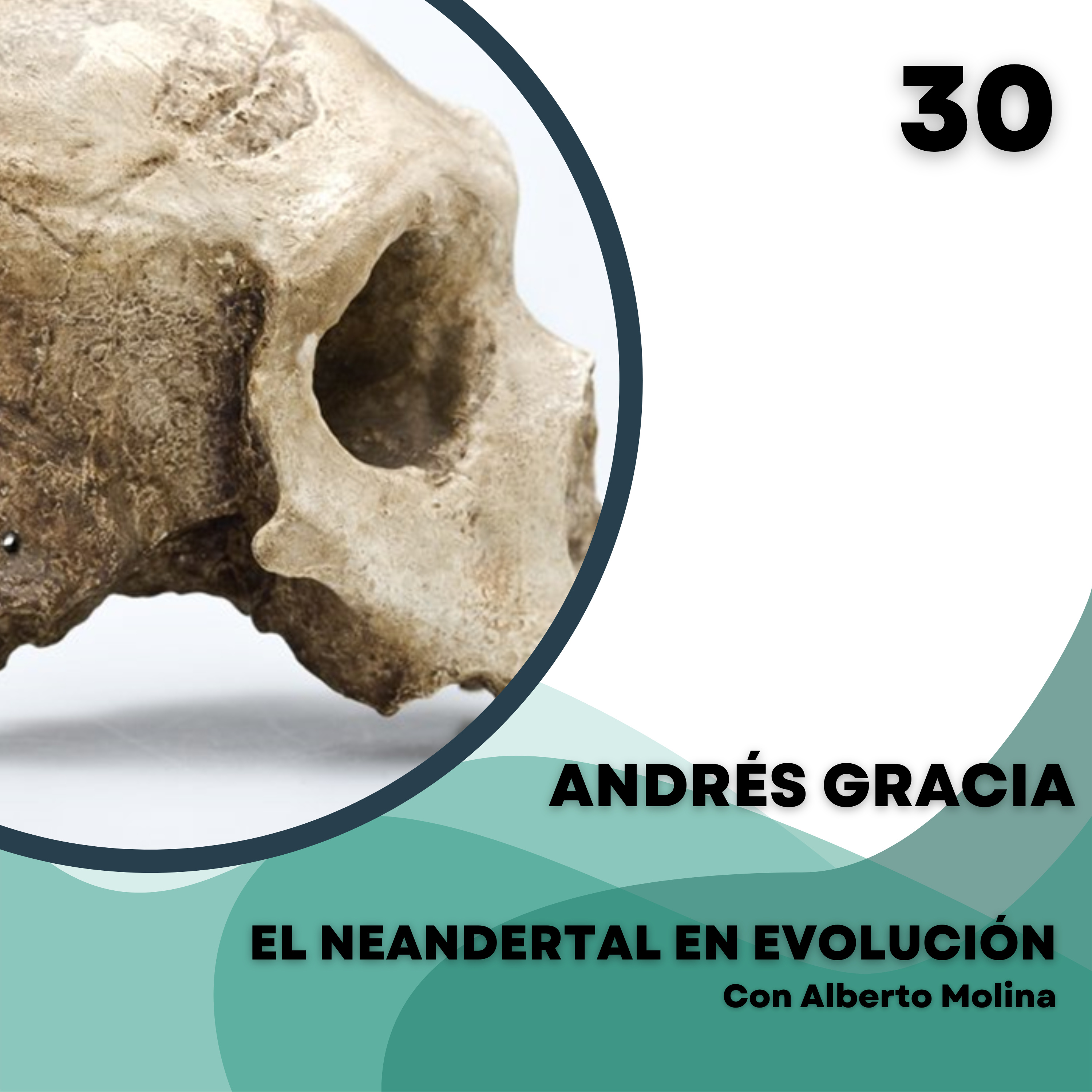 El Neandertal en evolución