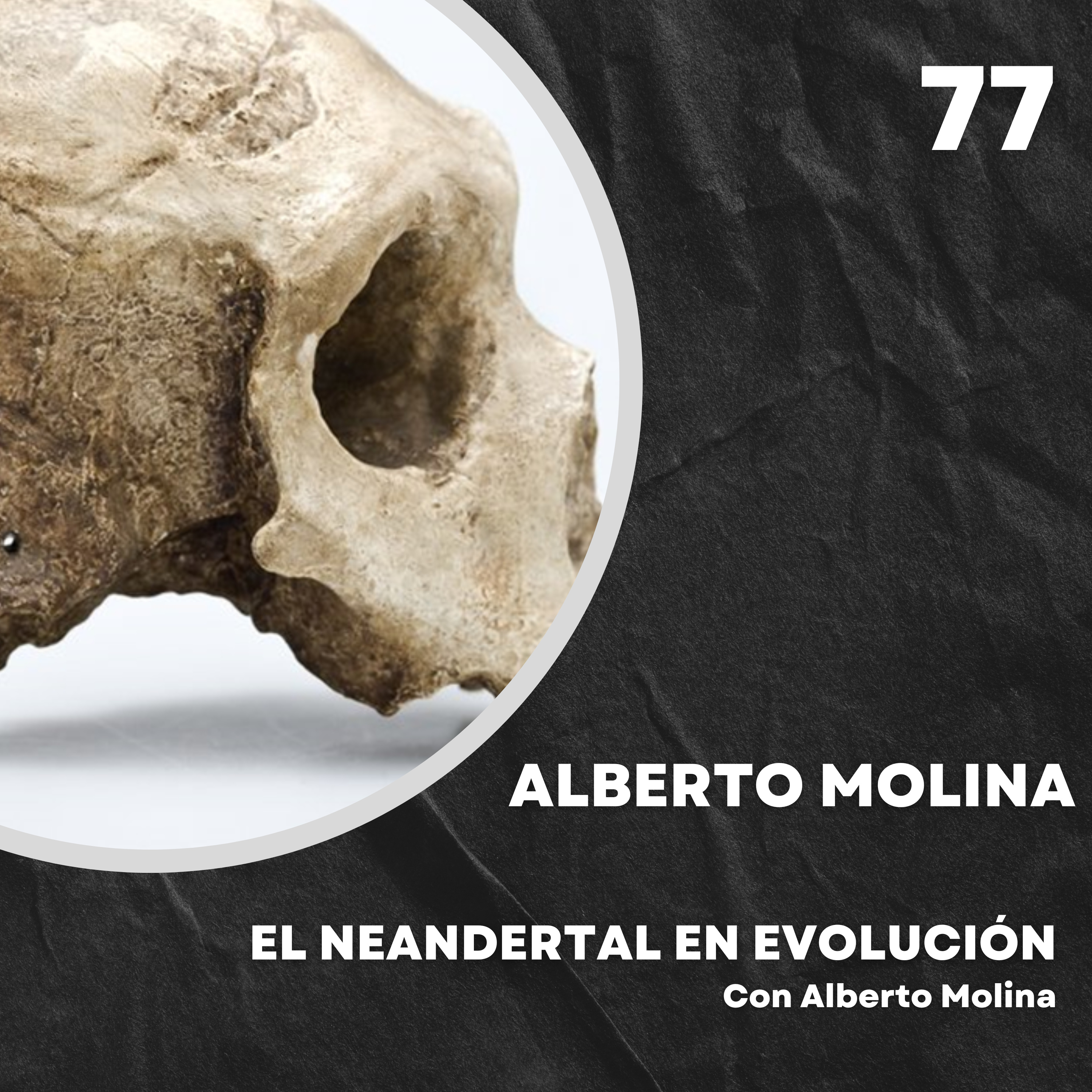 Portada de El Neandertal en evolución