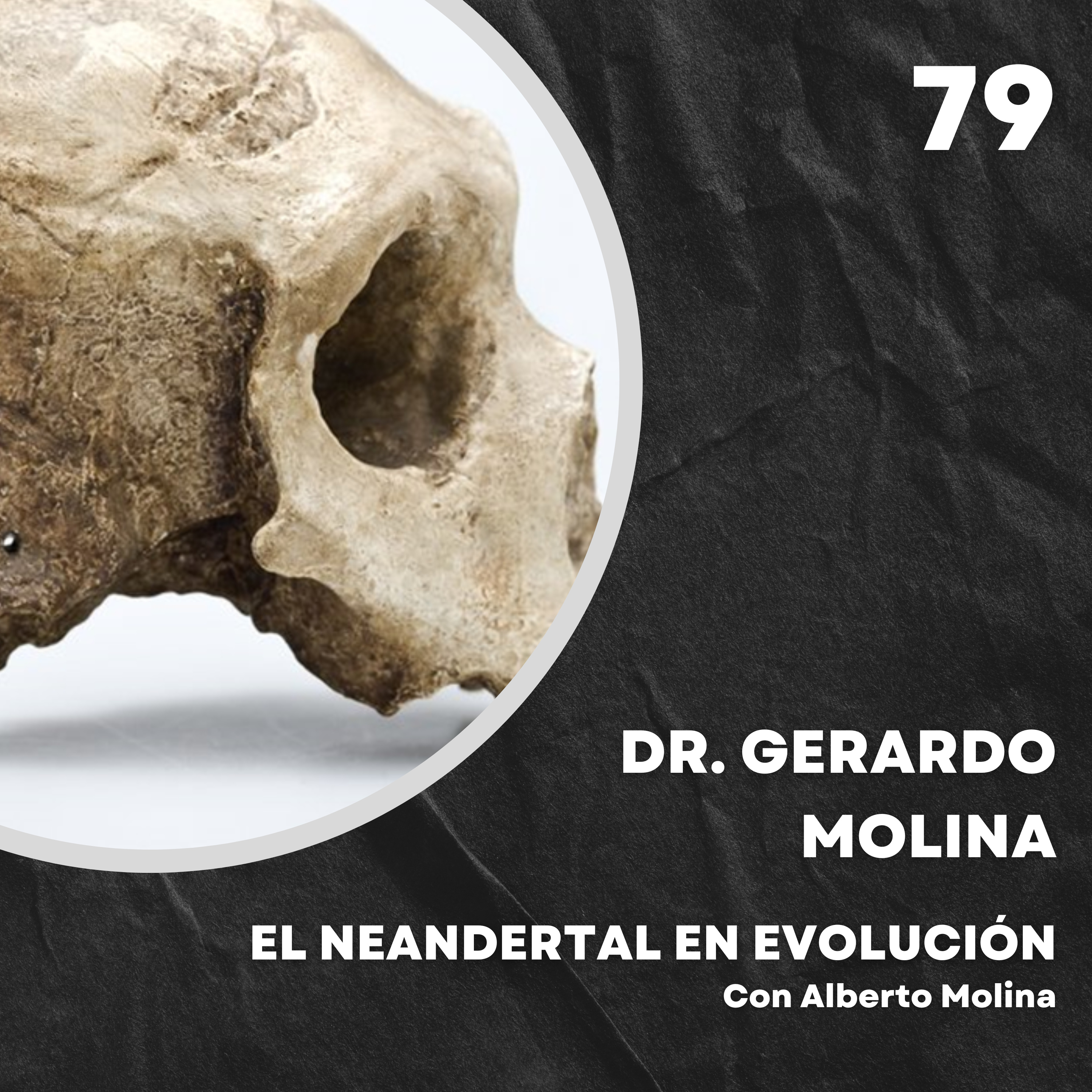 Portada de El Neandertal en evolución