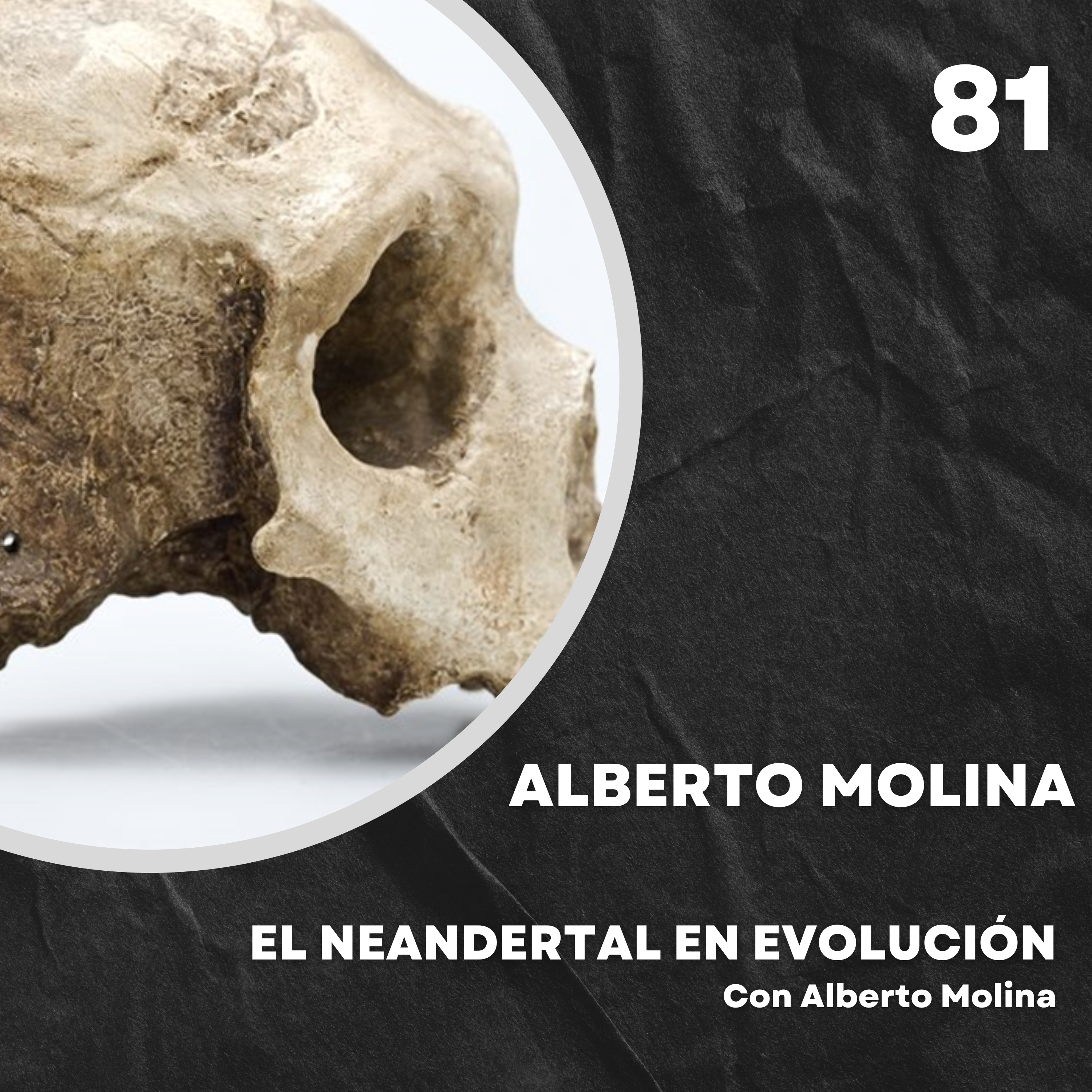 Portada de El Neandertal en evolución