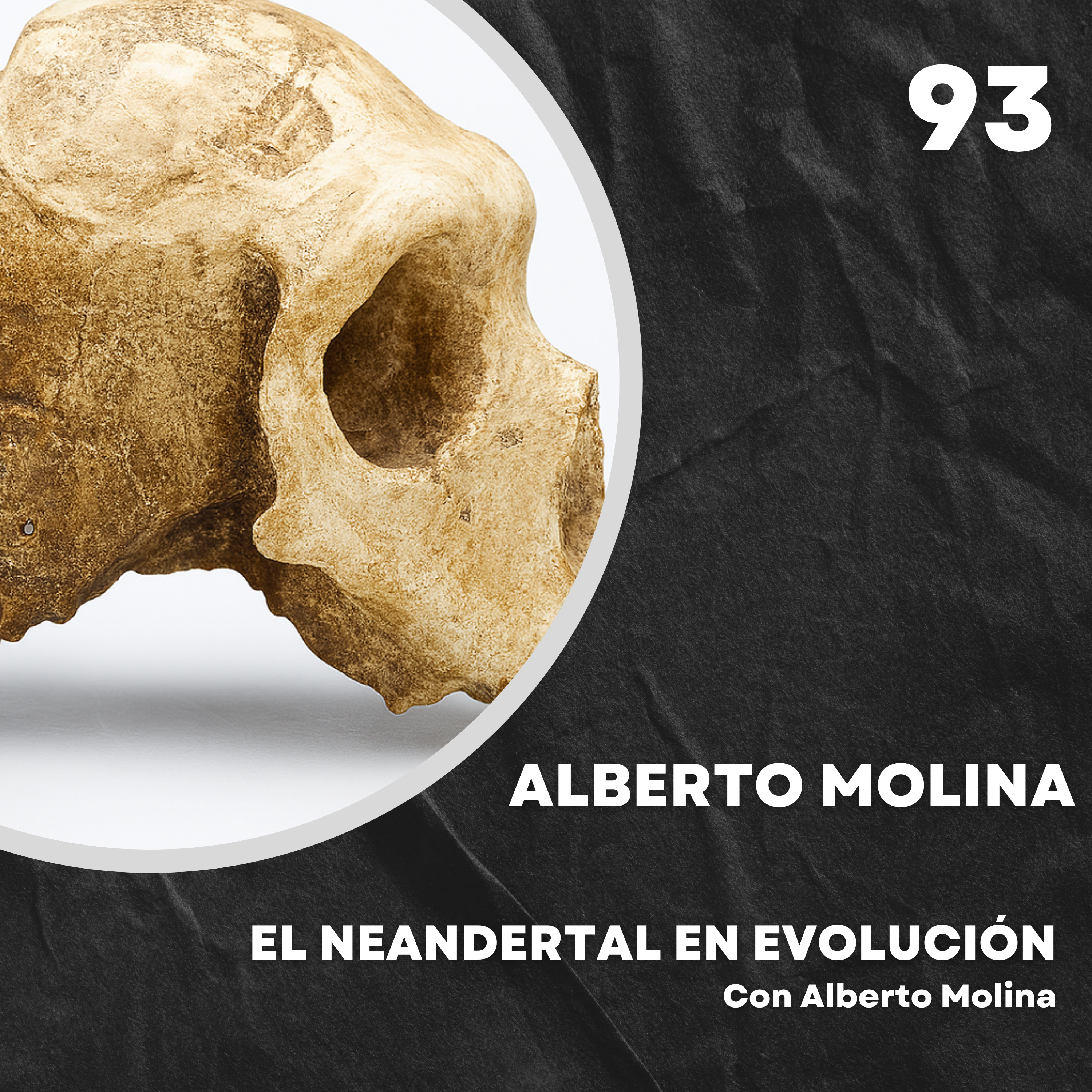 Portada de El Neandertal en evolución