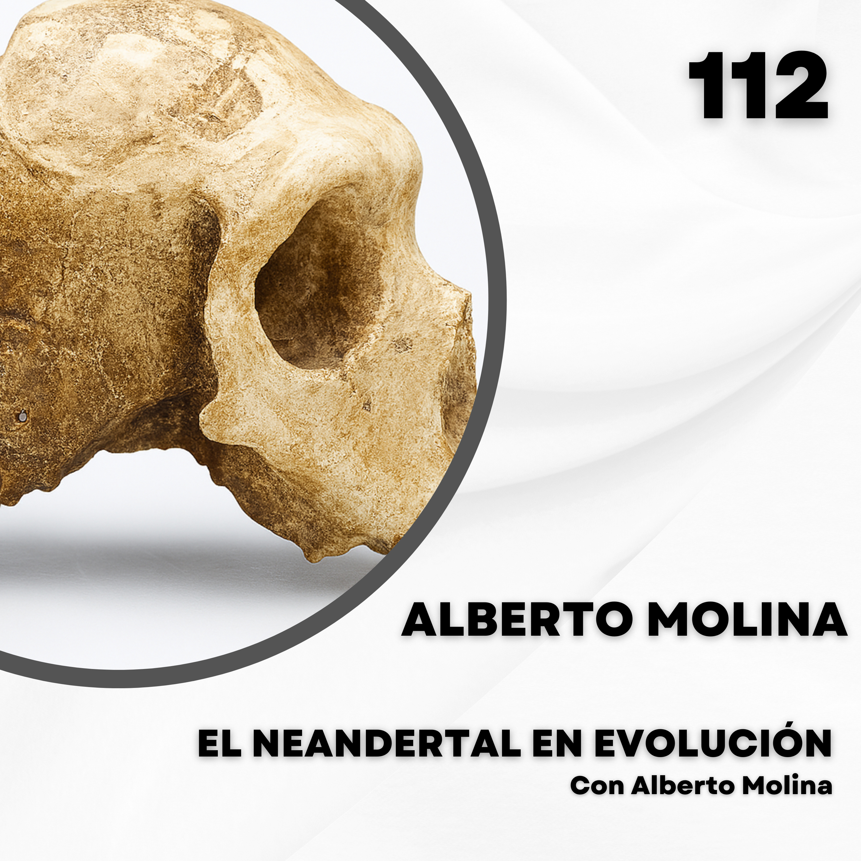 Portada de El Neandertal en evolución