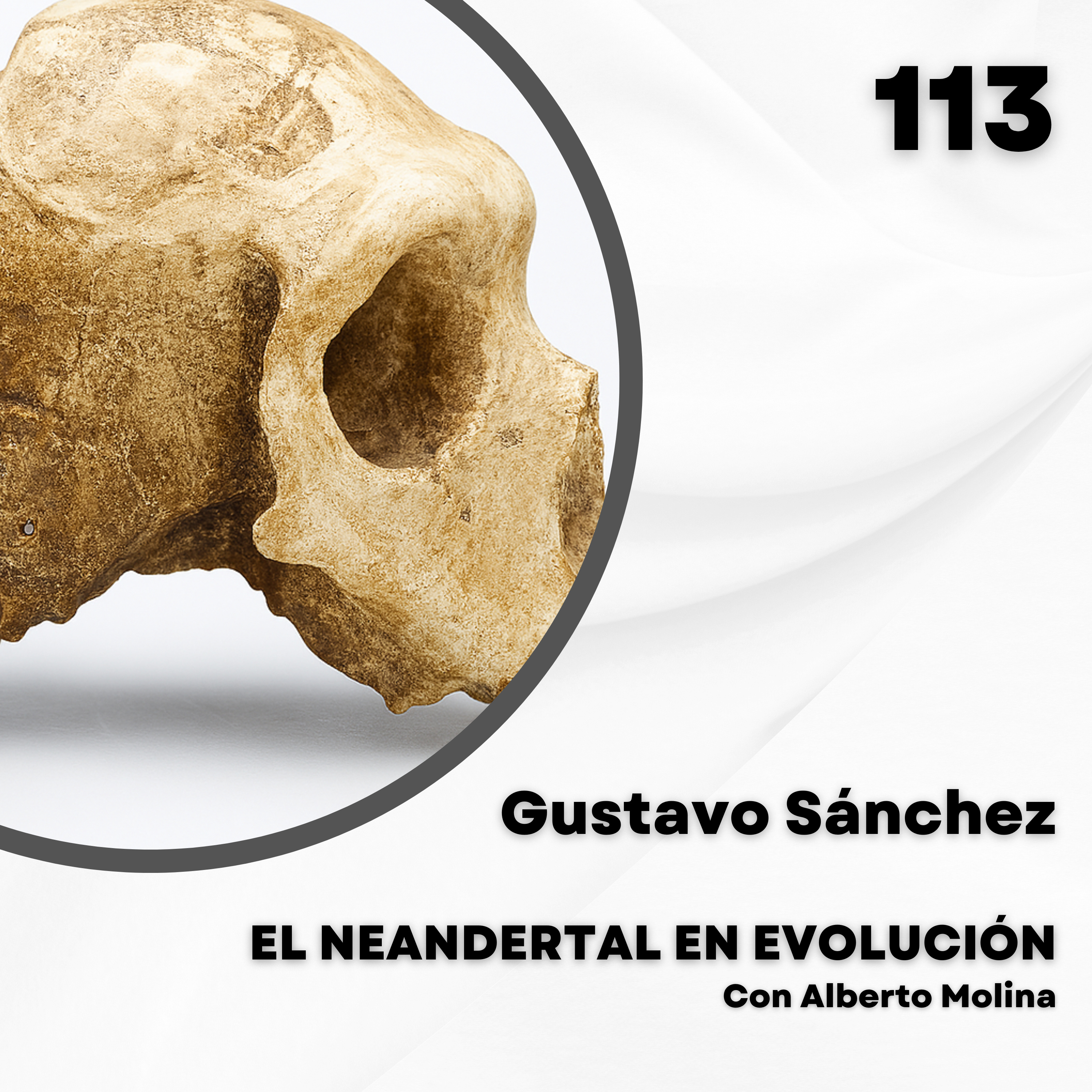 Portada de El Neandertal en evolución