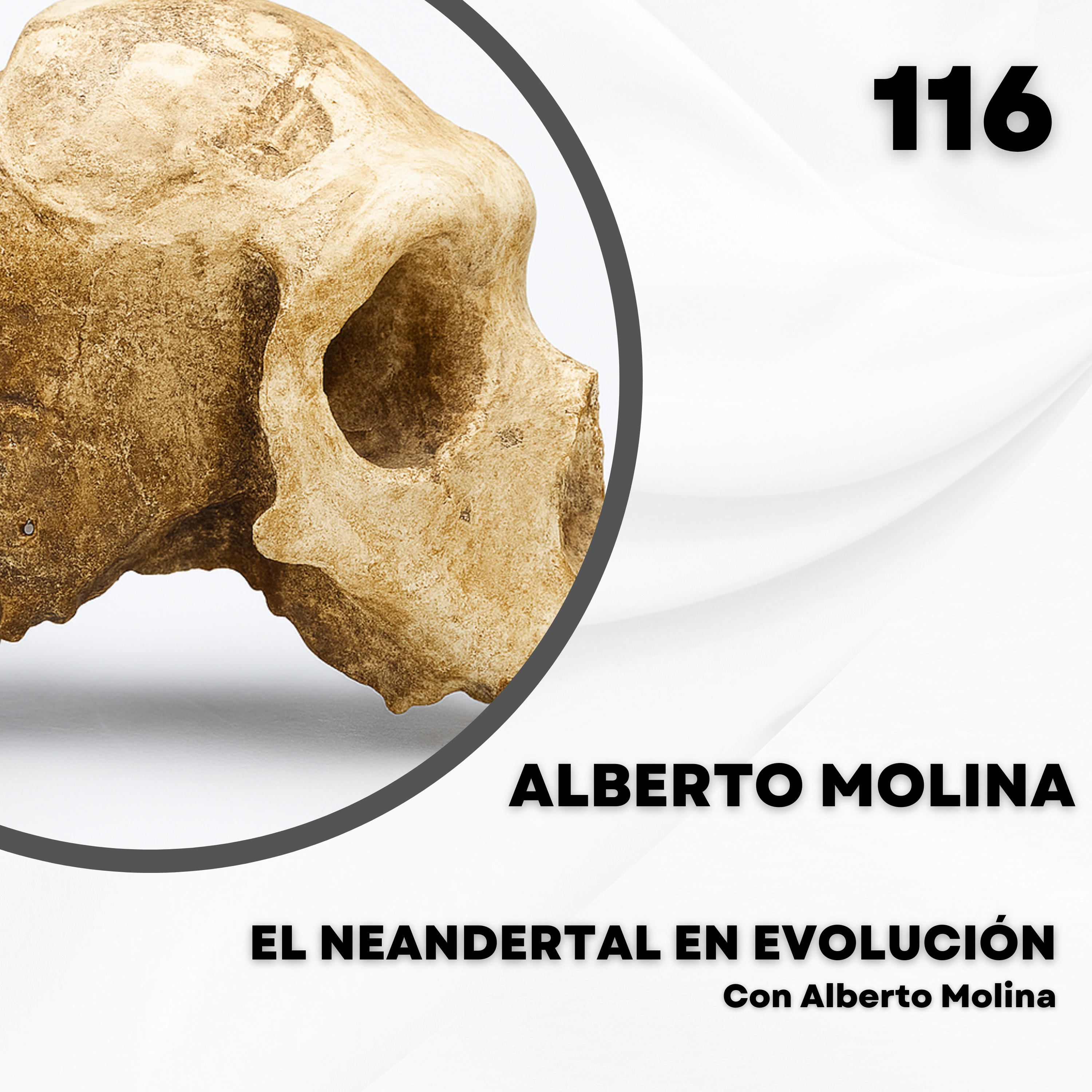 Portada de El Neandertal en evolución