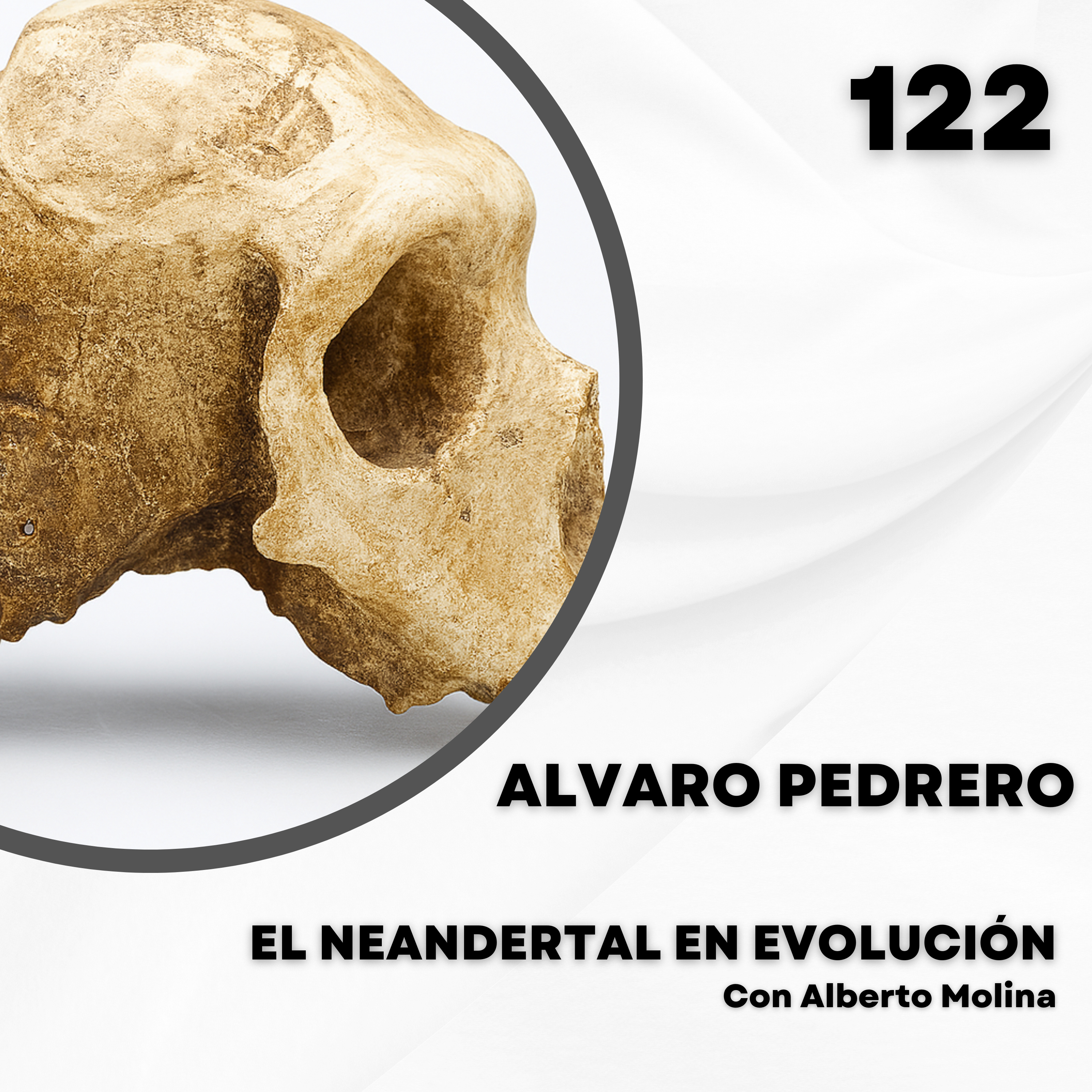Portada de El Neandertal en evolución