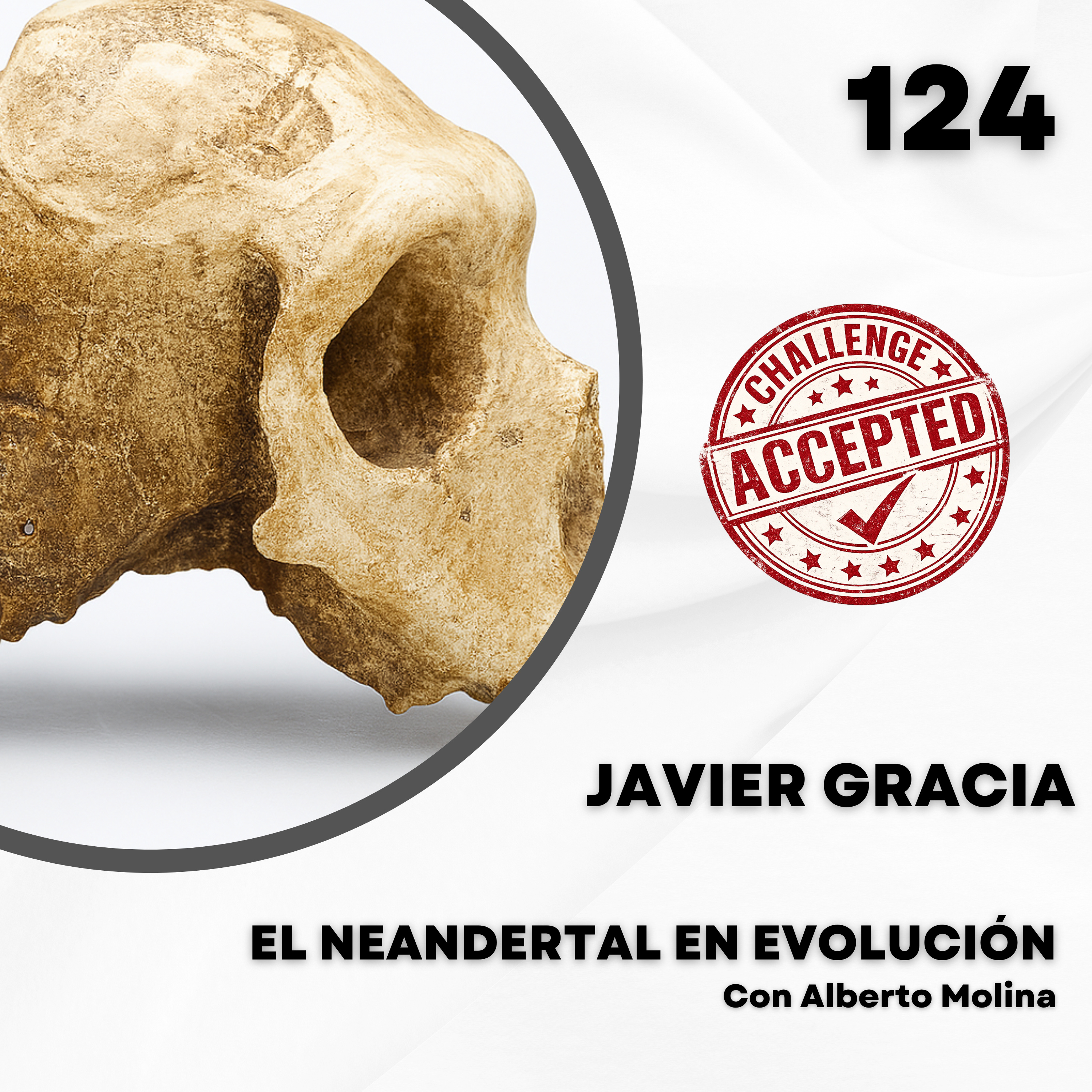 Portada de El Neandertal en evolución