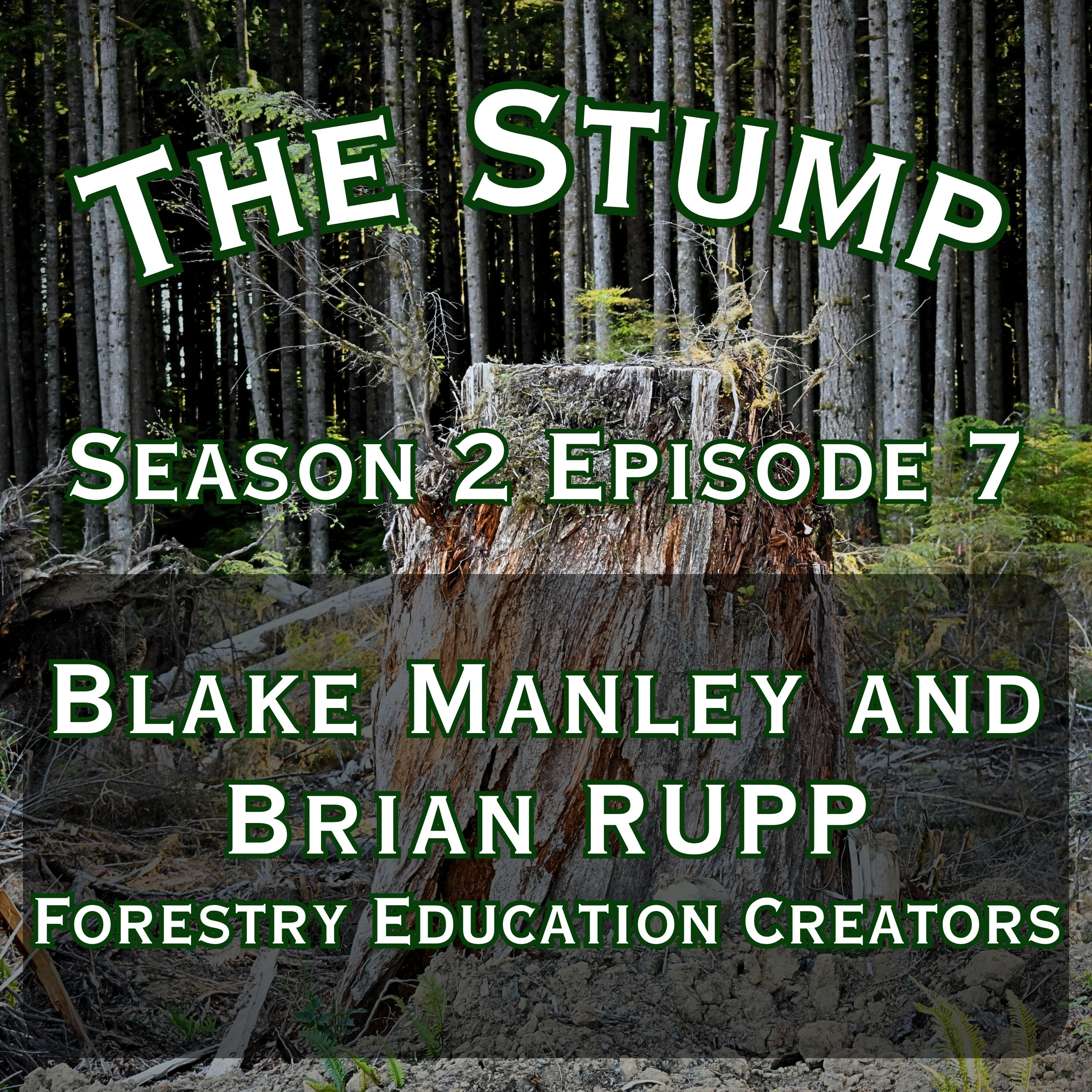 The Stump