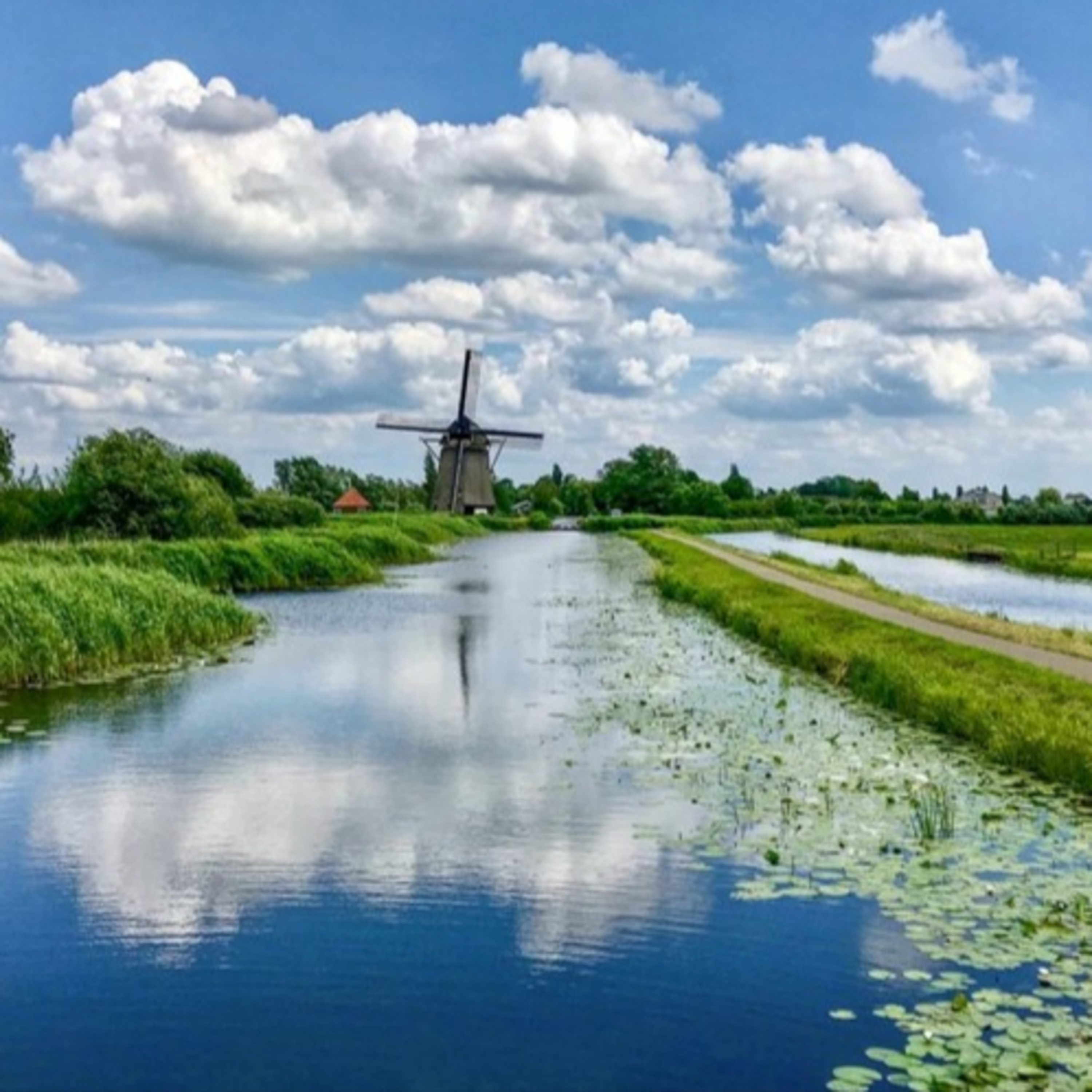 Dikes, Dams and Ditches: How the Low Countries Learnt to Deal With Water episode artwork