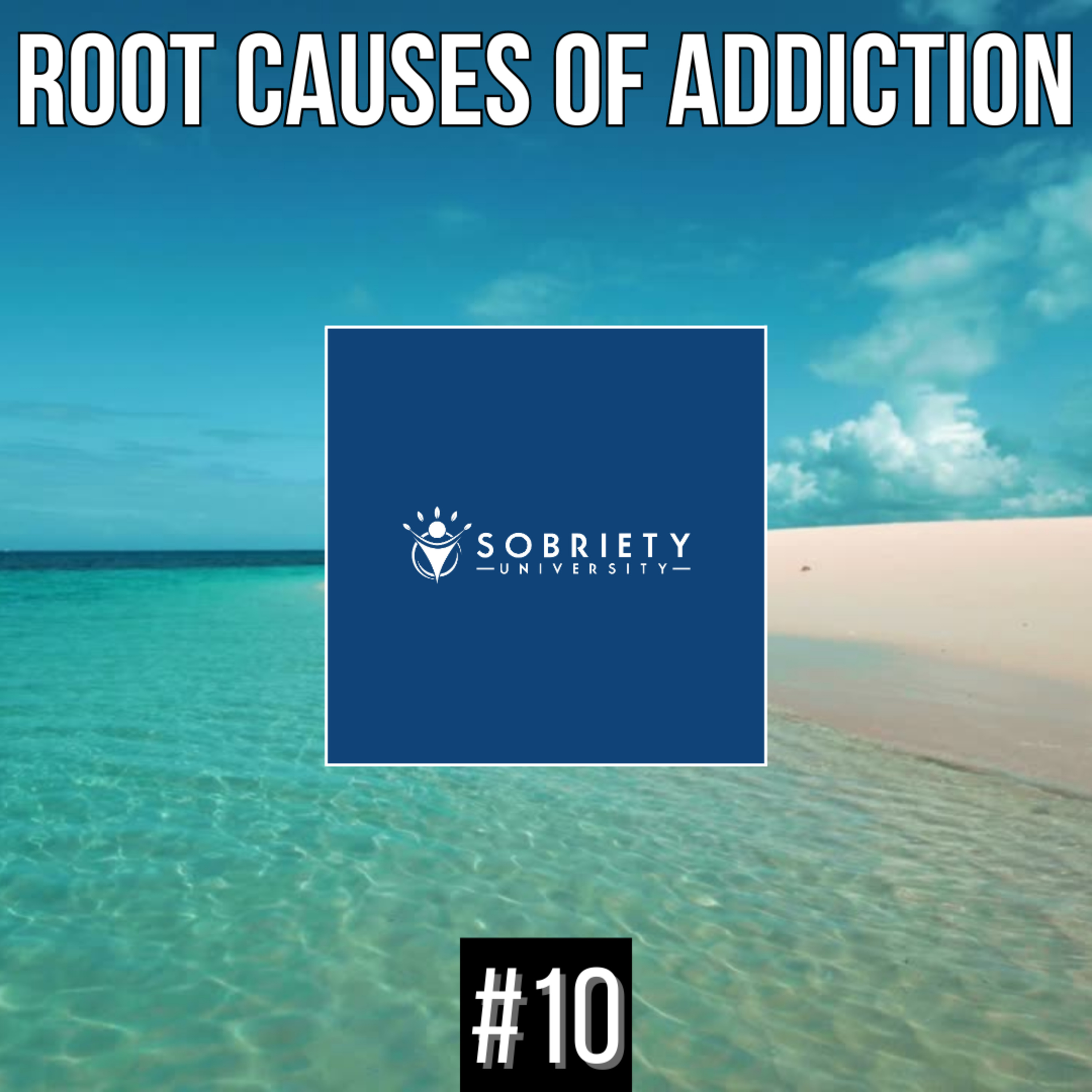 Sobriety University