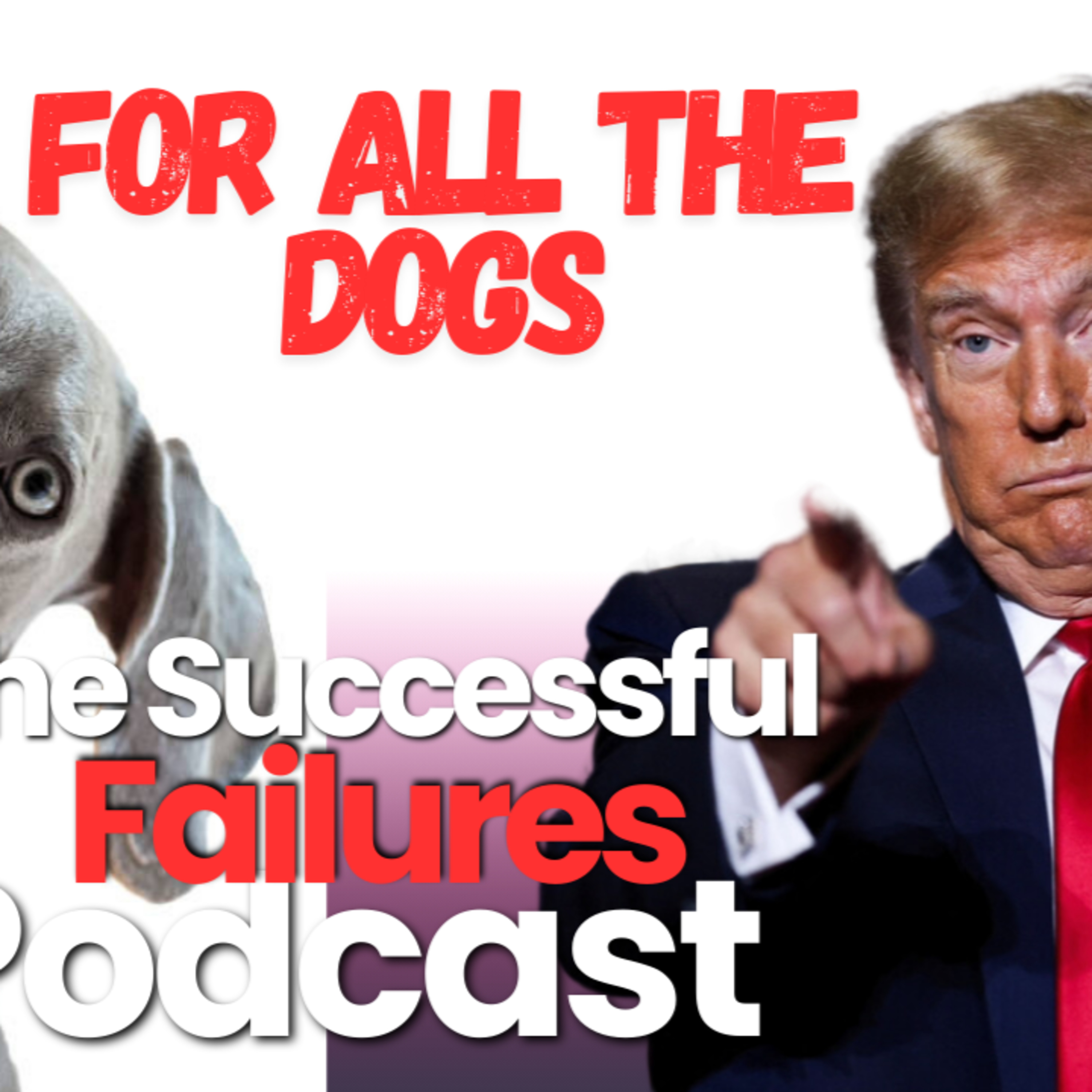 Episode 44: Eating the dogs 