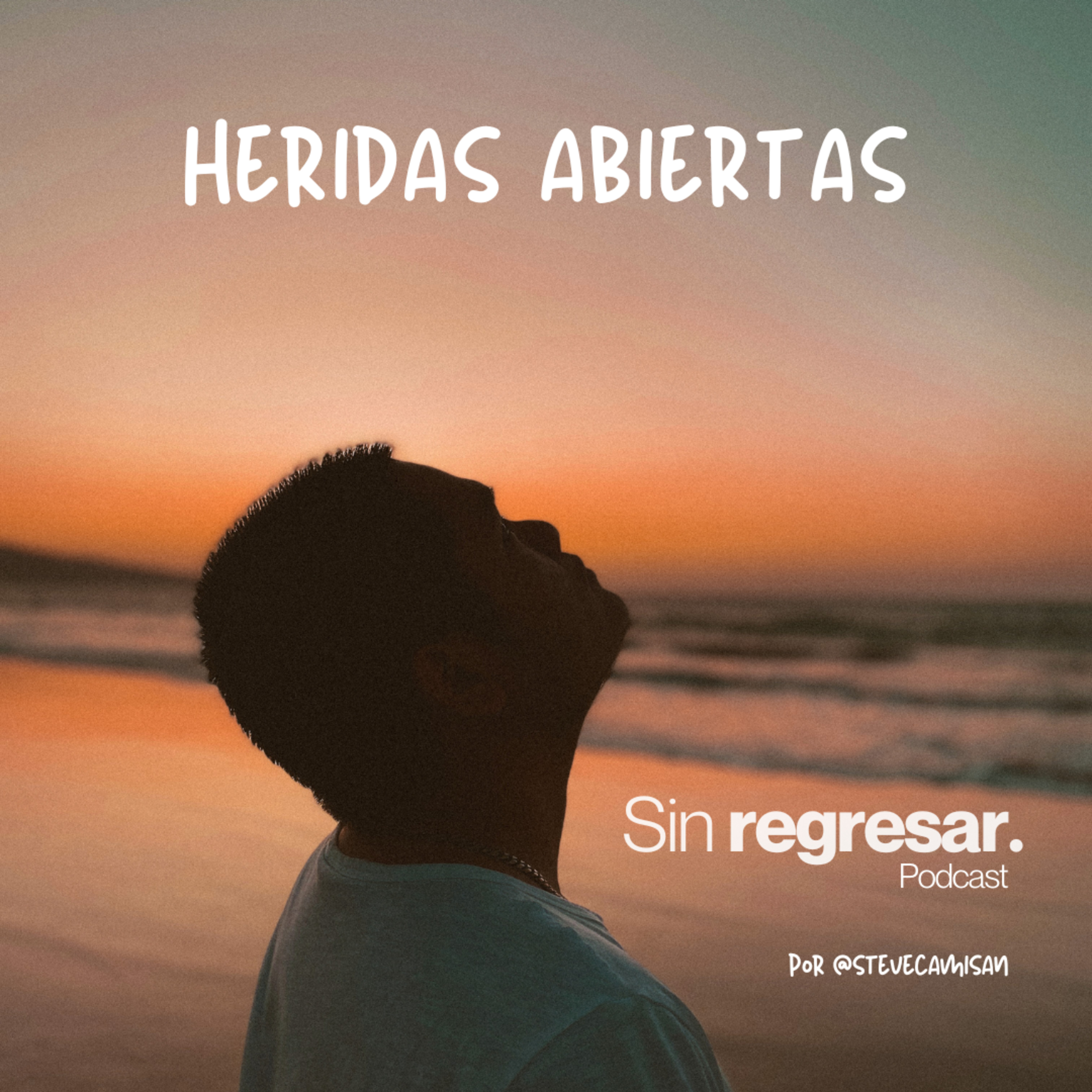 Portada de Sin regresar.