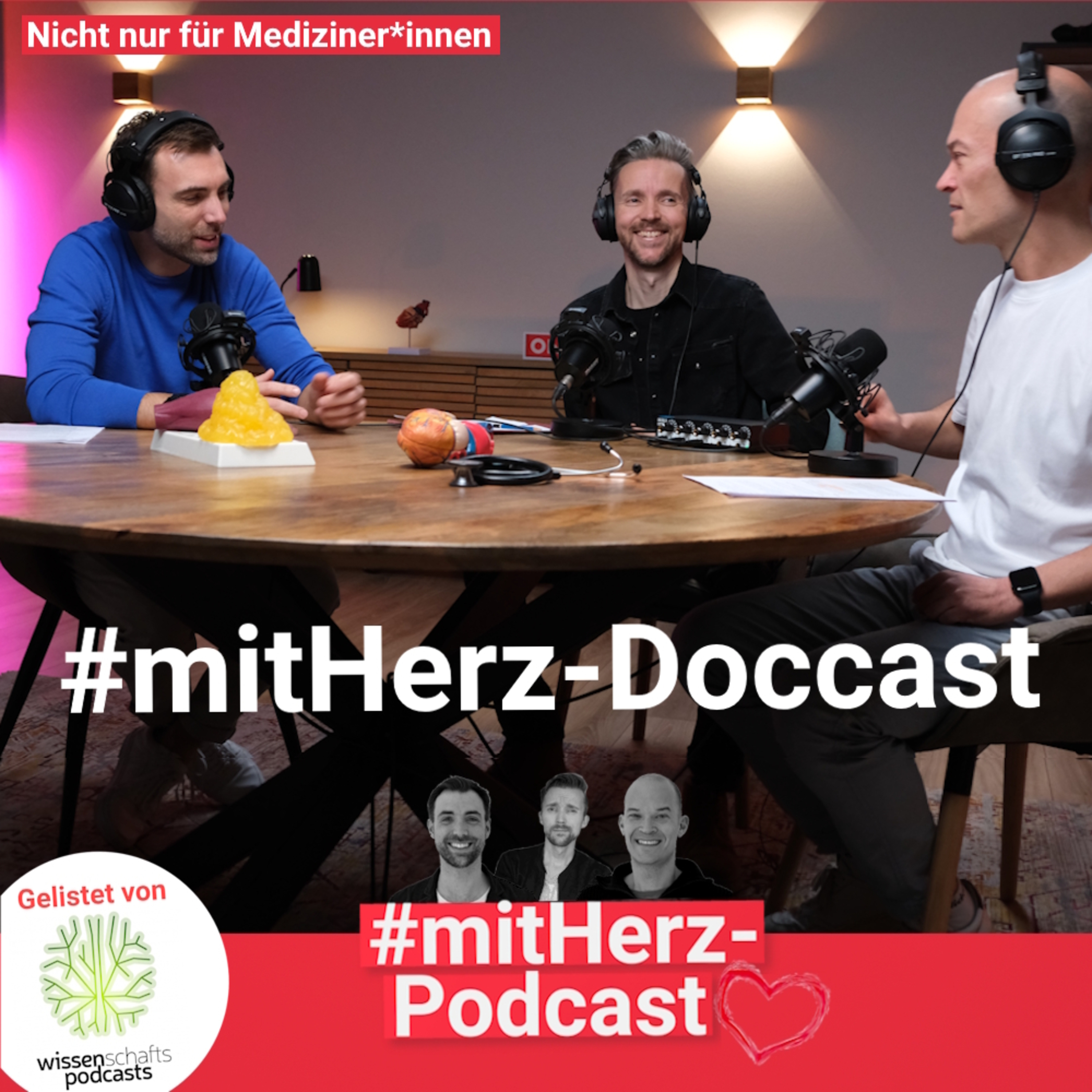 #mitHerz-Doccast (nicht nur) für Mediziner*innen: Diabetes Typ 2-Update 2026 episode artwork
