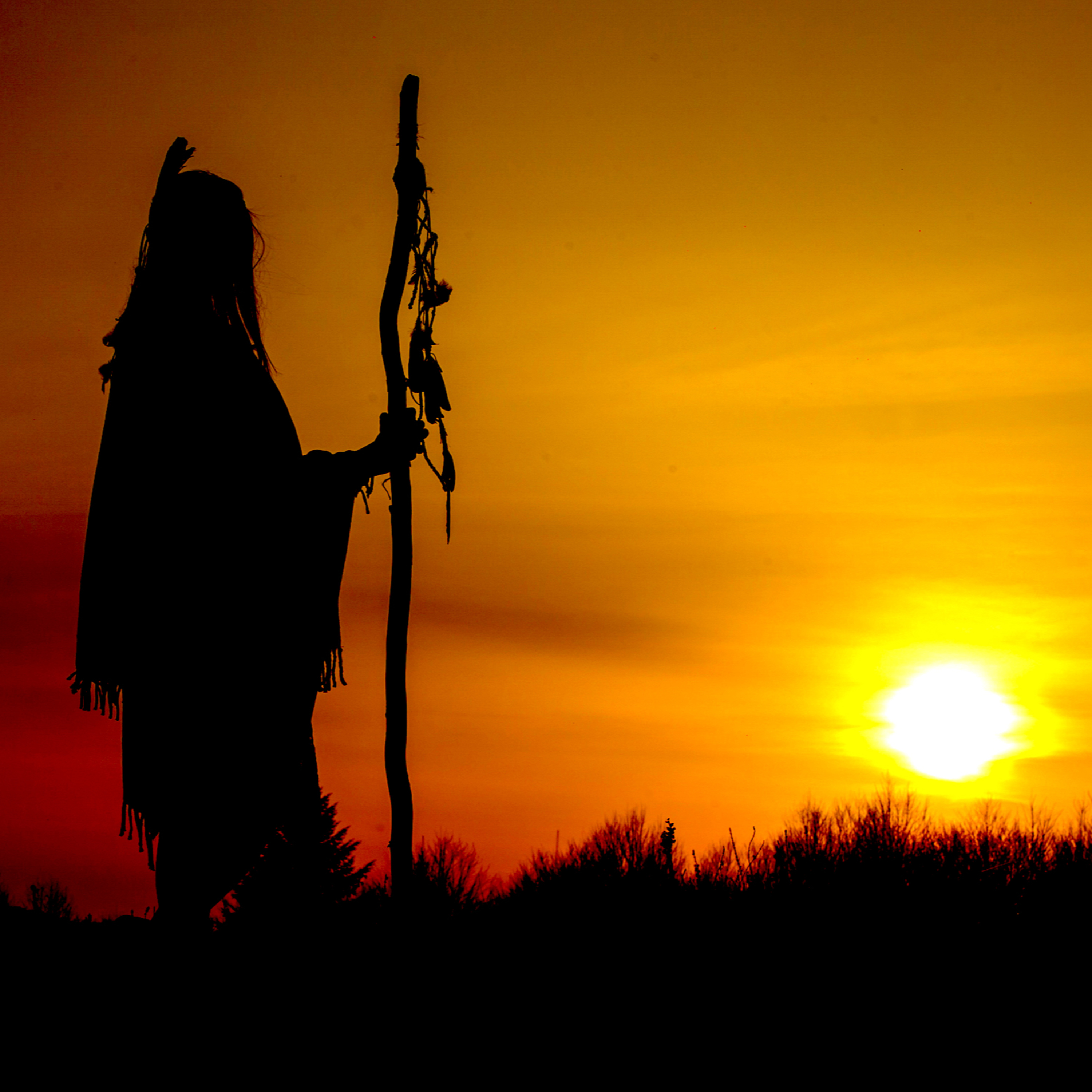 Immerse Yourself in Spanish Mastery with Native Speakers