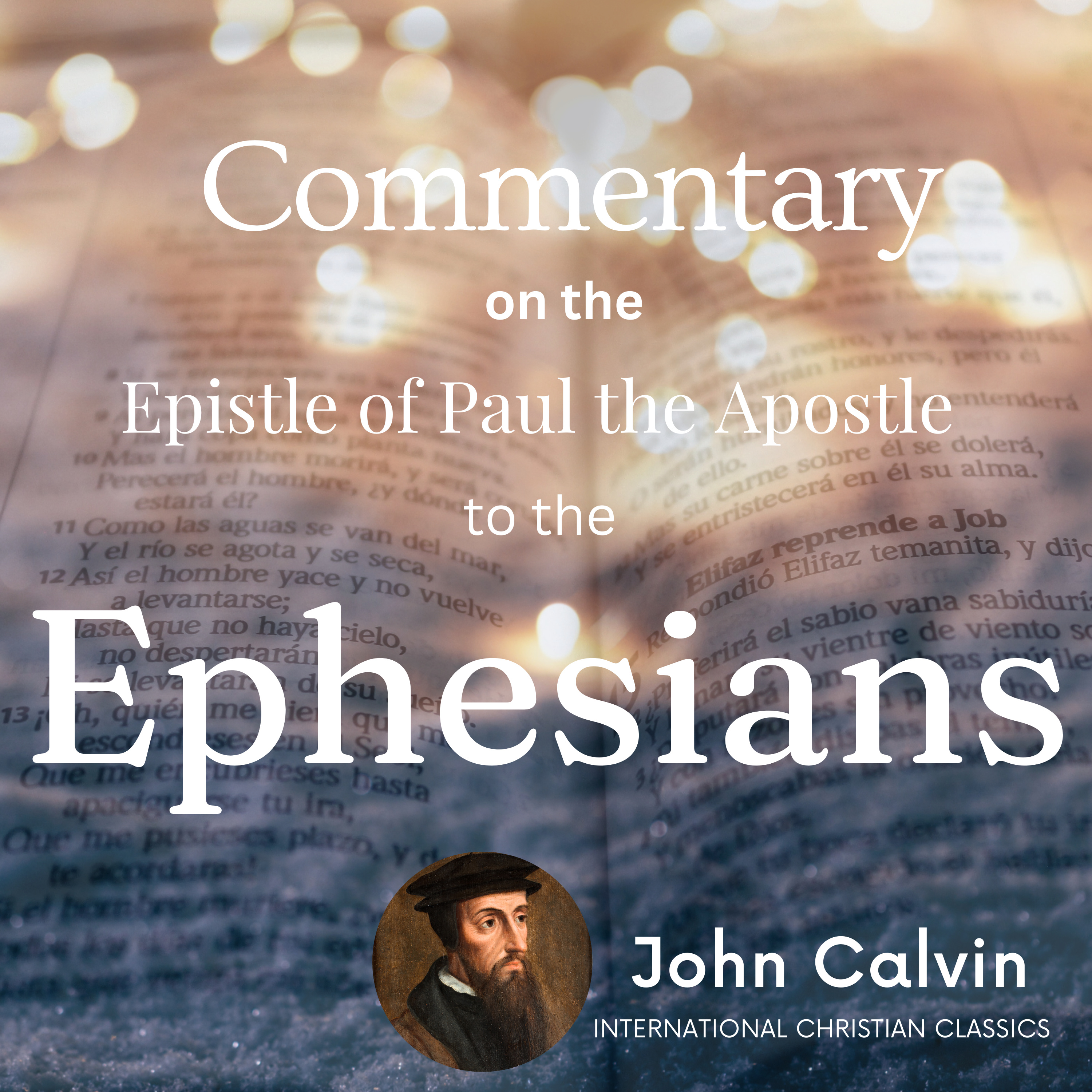 International Christian Classics (Biblically Reformed And Confessional)