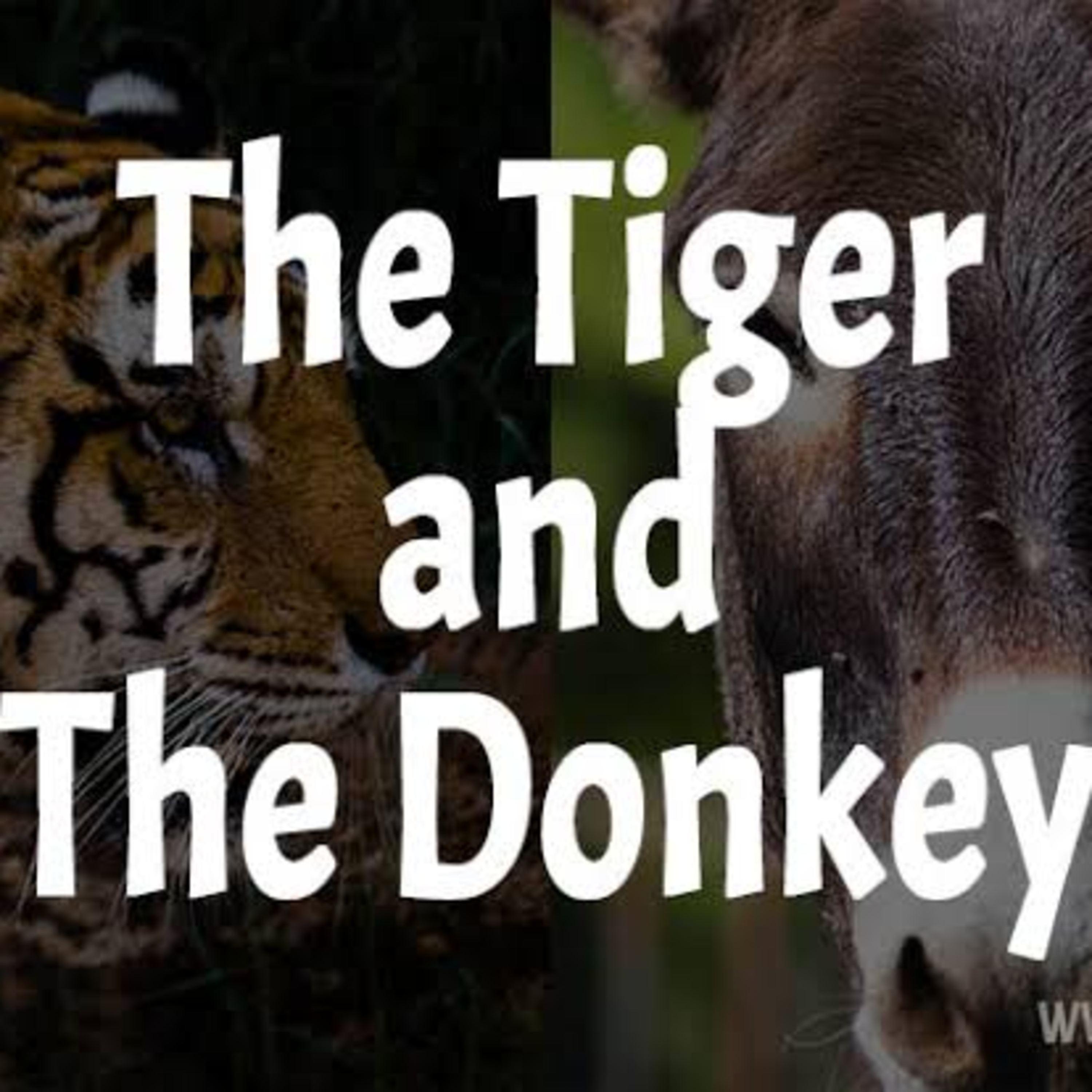 EP 205 - This story is about a Tiger and Donkey episode artwork