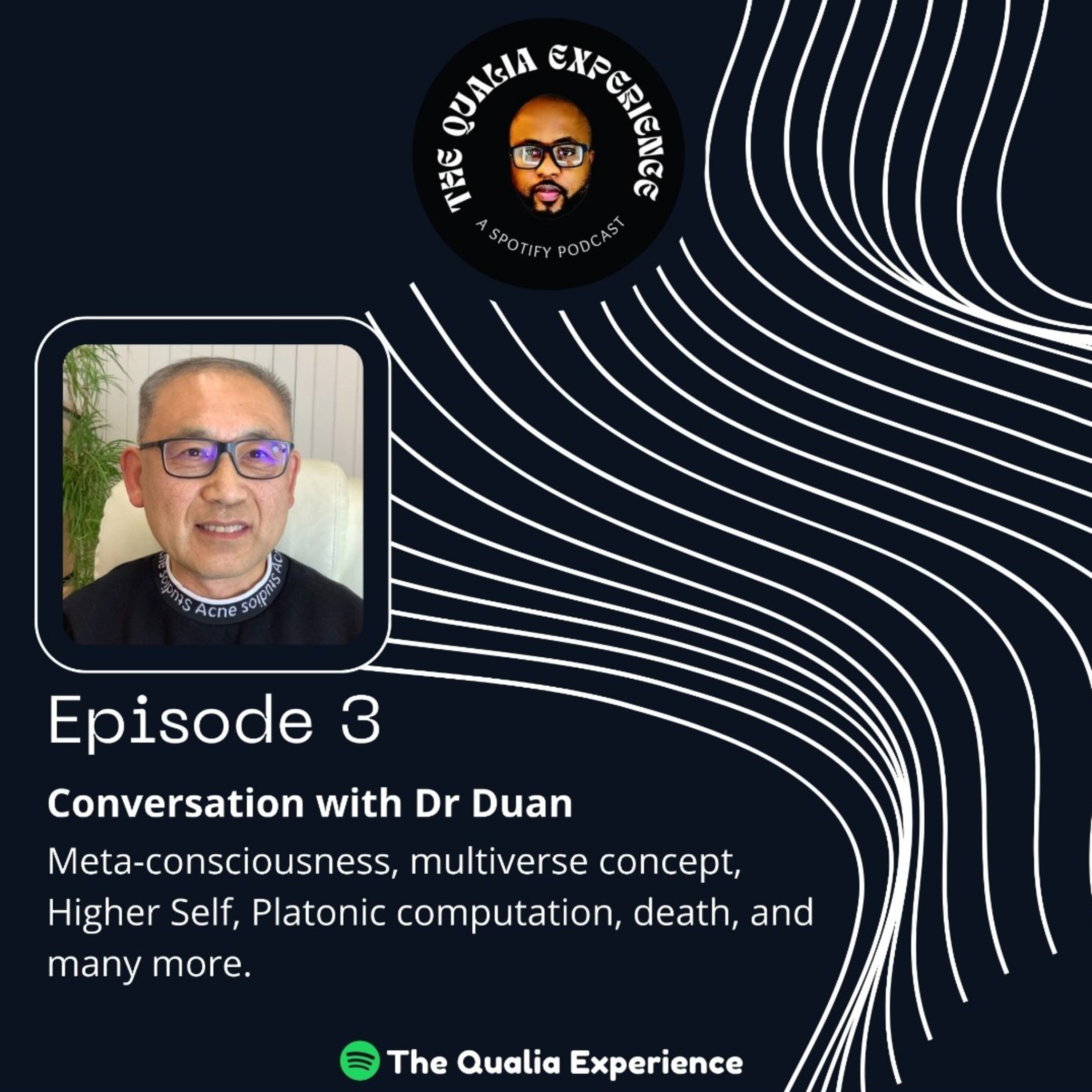 Material Scientist Dr. Duan on Meta-Consciousness, Multiverse Concept, Higher Self, Platonic Computation, and More episode artwork