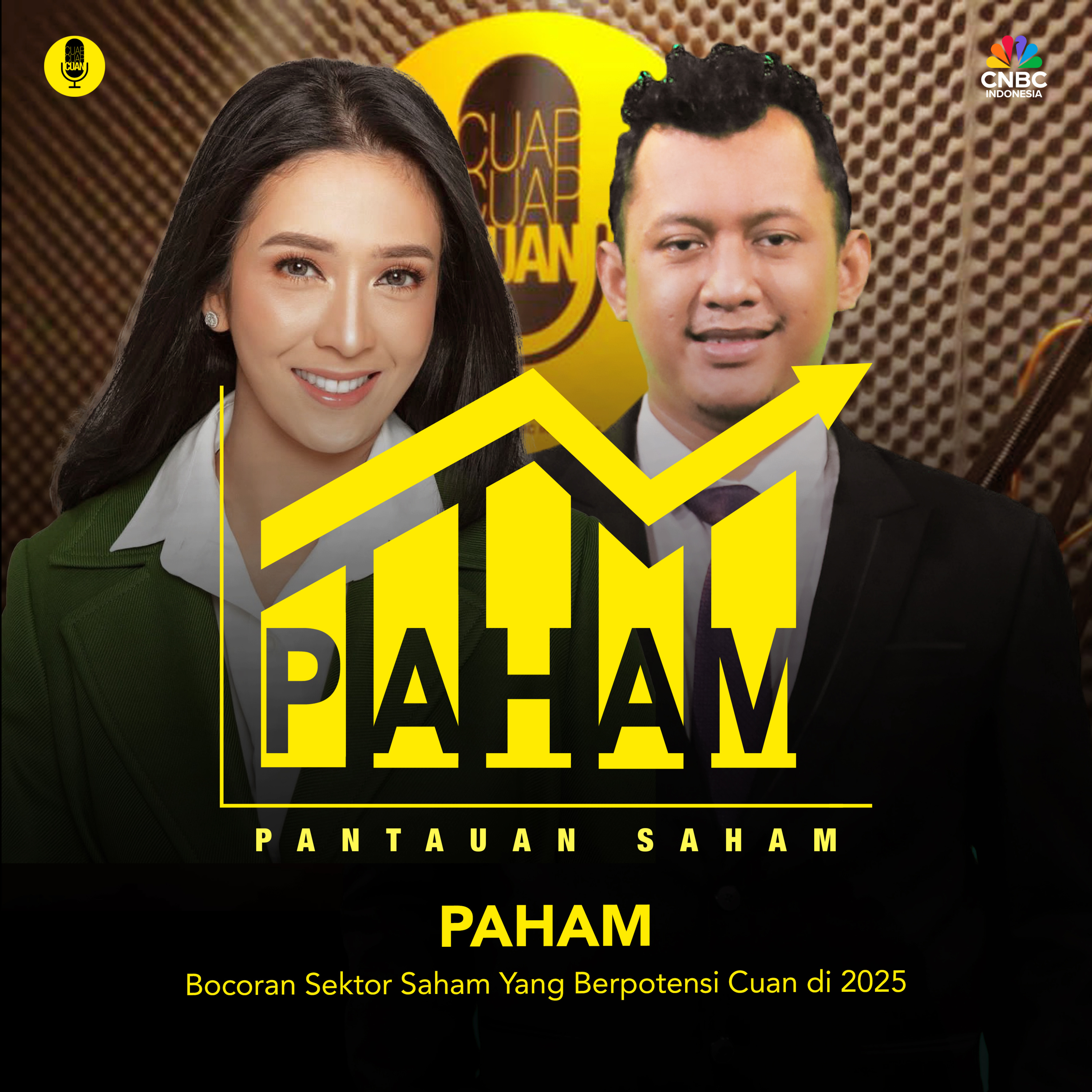 PAHAM: Bocoran Sektor Saham Yang Berpotensi Cuan di 2025 episode artwork