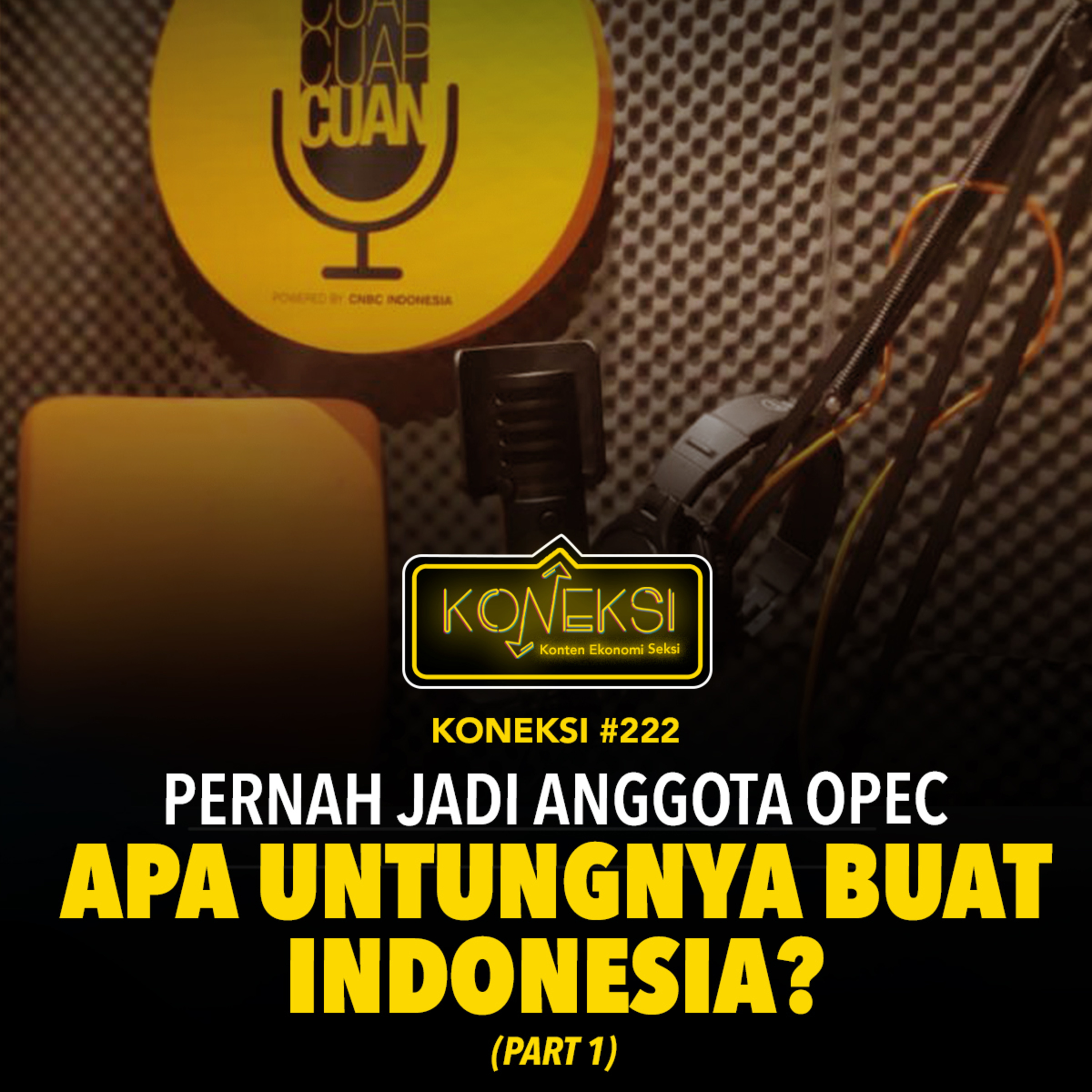 KONEKSI #222 (Part 1) Pernah Jadi Anggota OPEC, Apa Untungnya buat Indonesia?  episode artwork