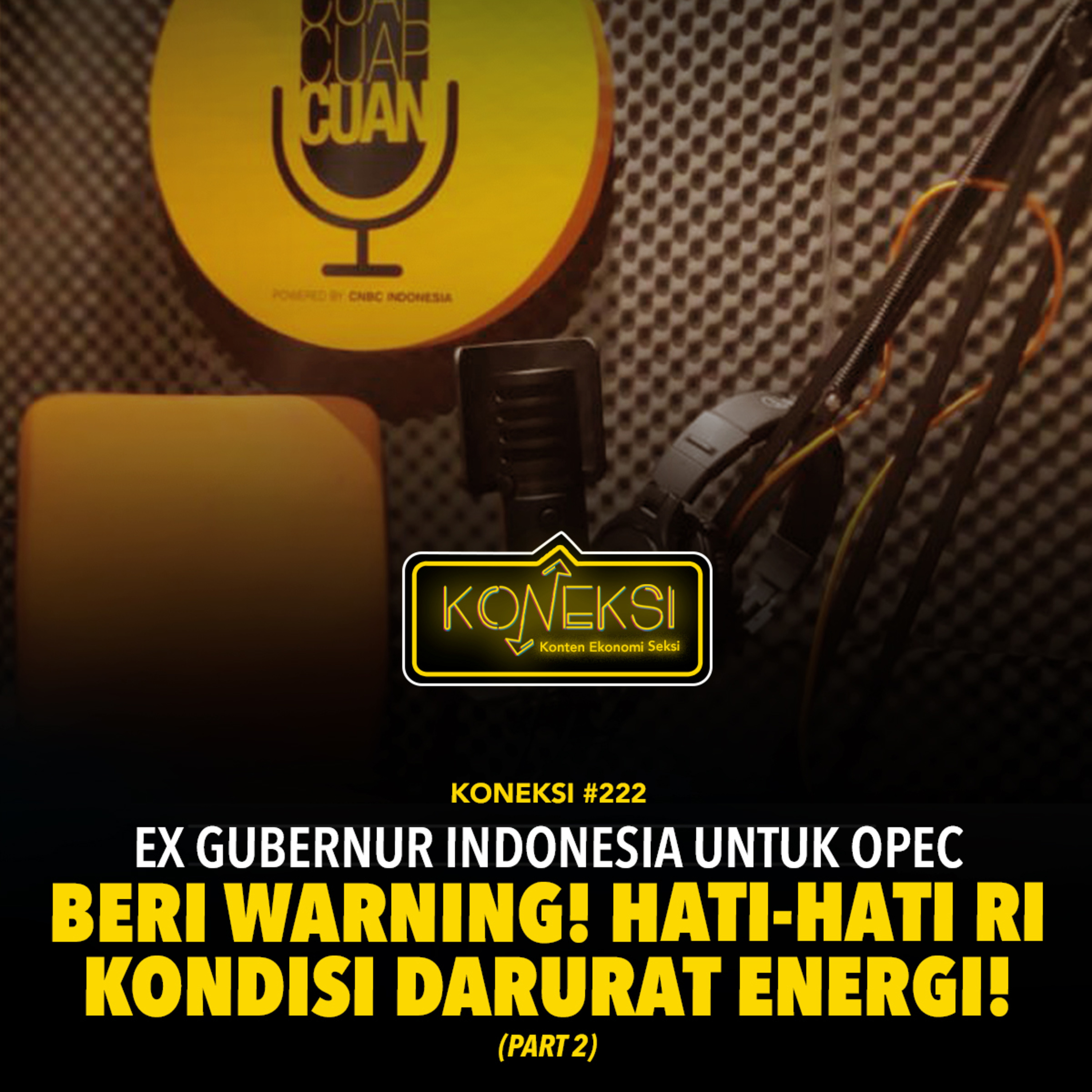 KONEKSI #222 (Part 2) Ex Gubernur Indonesia untuk OPEC Beri Warning! Hati-Hati RI Kondisi Darurat Energi!  episode artwork