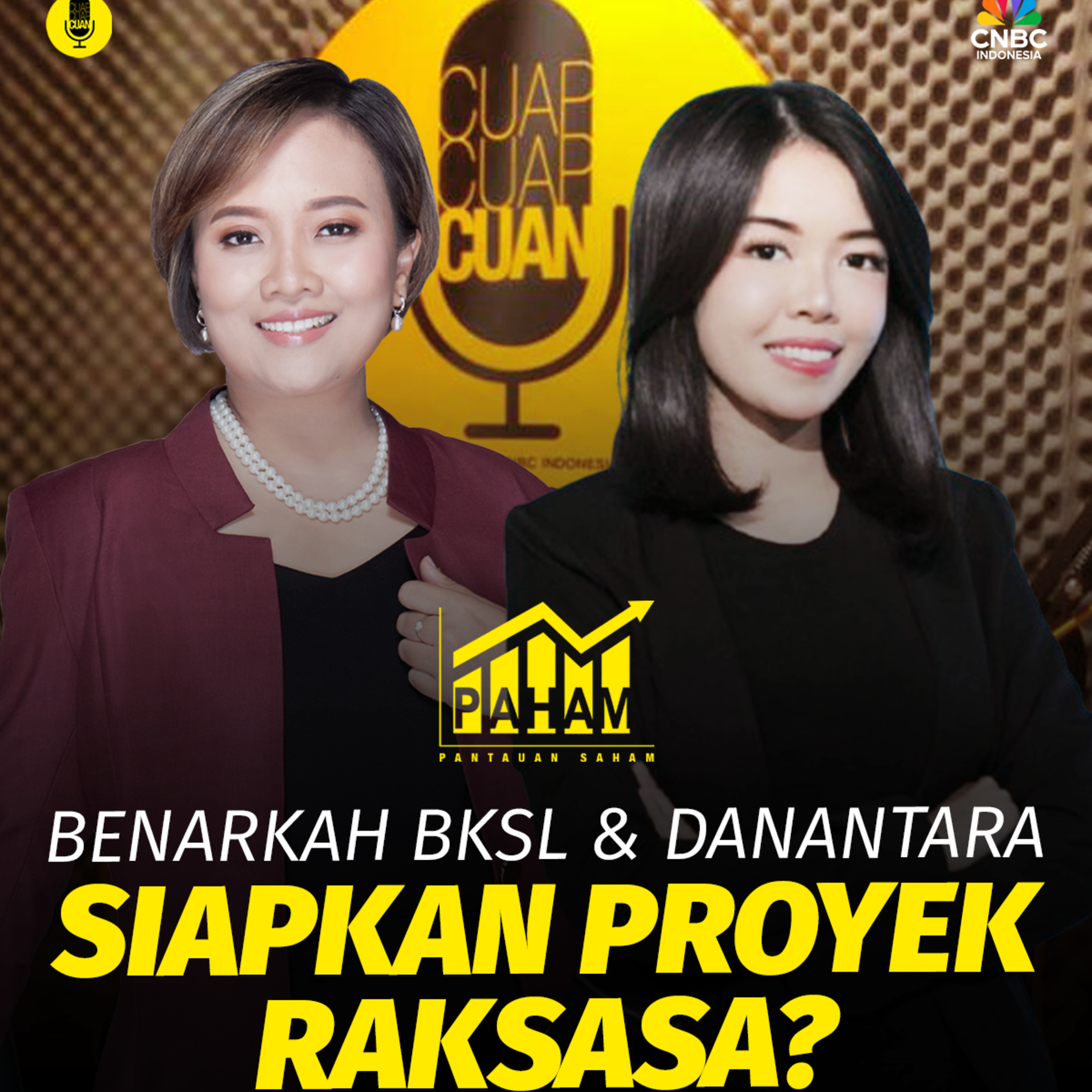 PAHAM: Benarkah BKSL & Danantara Siapkan Proyek Raksasa?
