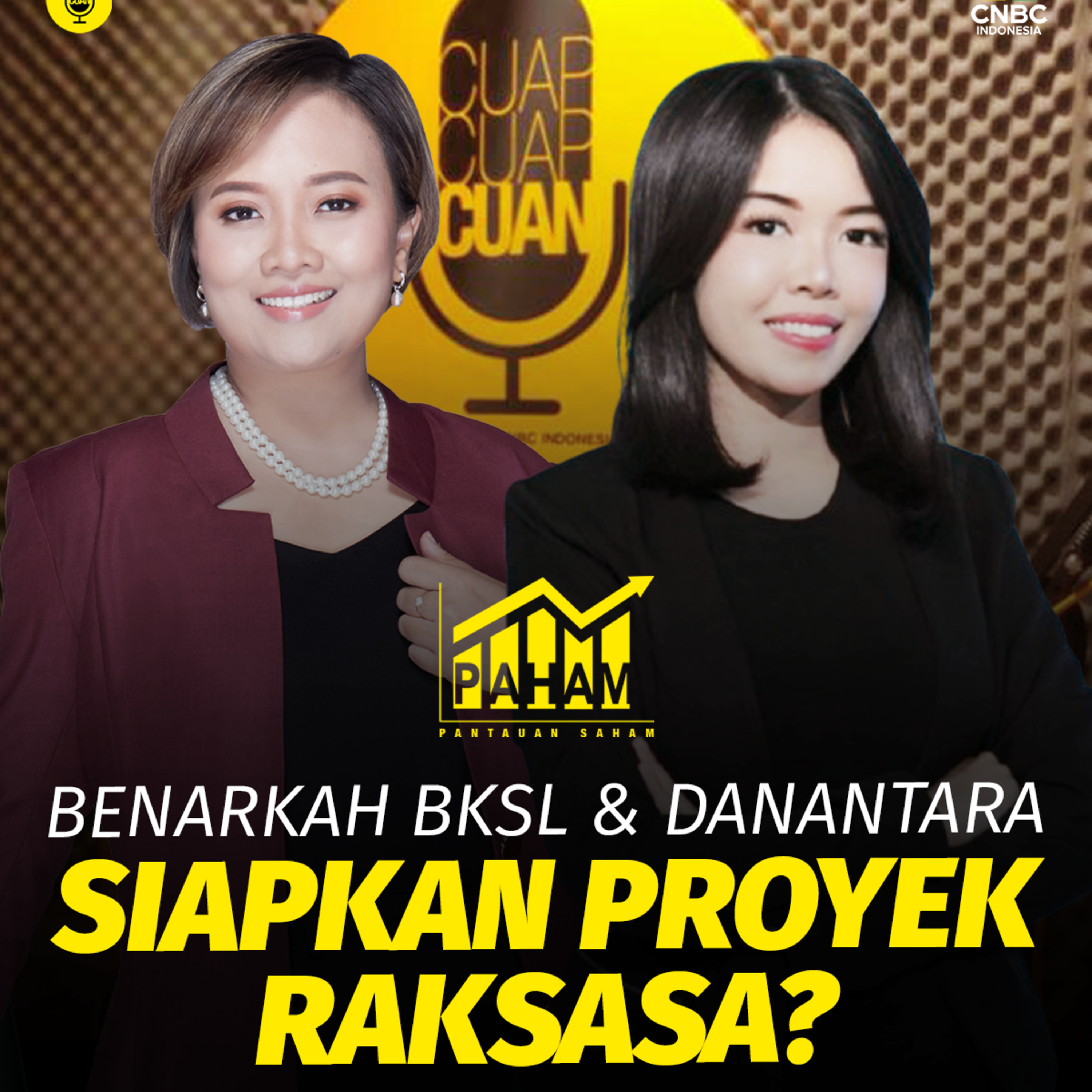 PAHAM: Benarkah BKSL & Danantara Siapkan Proyek Raksasa?