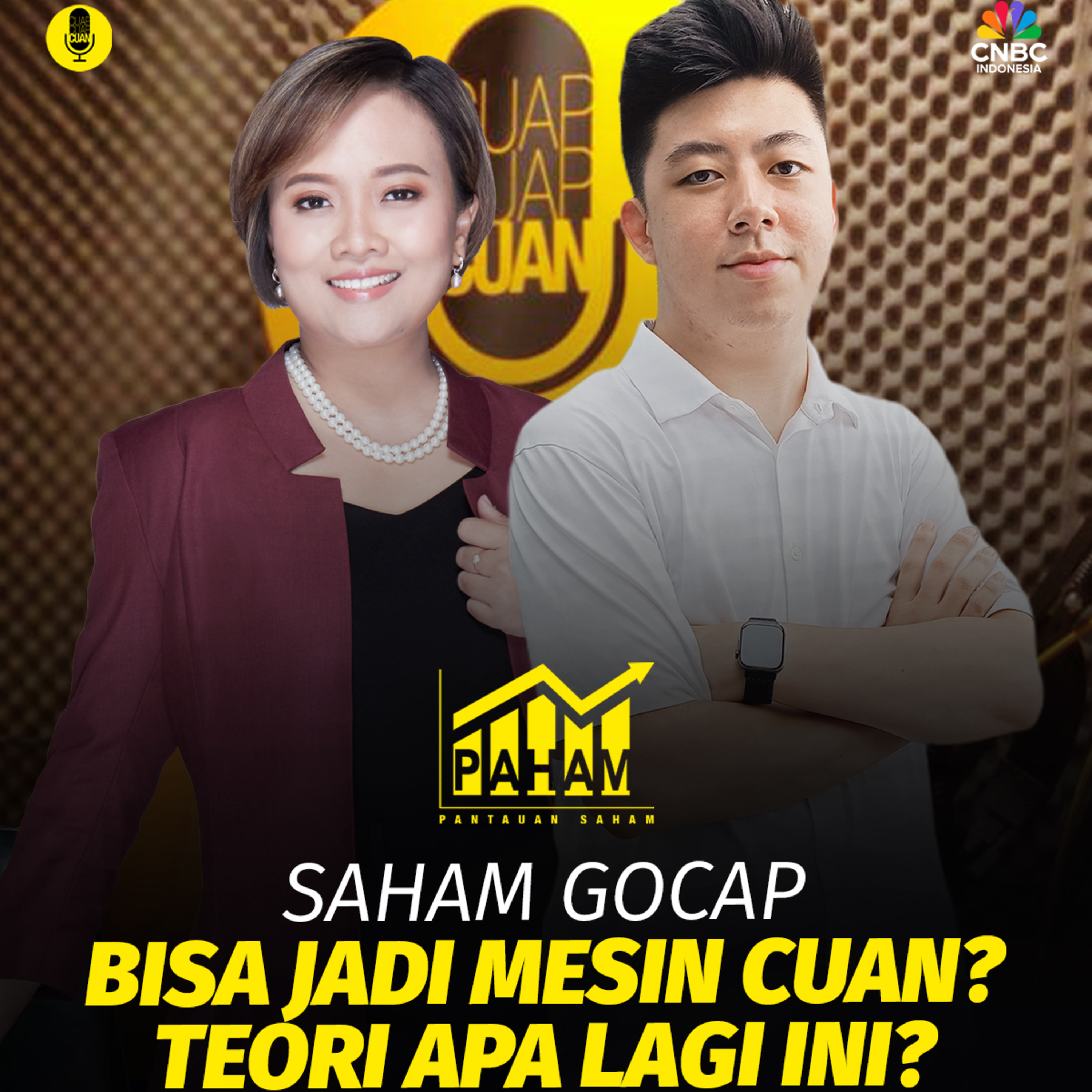 PAHAM: Saham Gocap Bisa Jadi Mesin Cuan? Teori Apa Lagi Ini?
