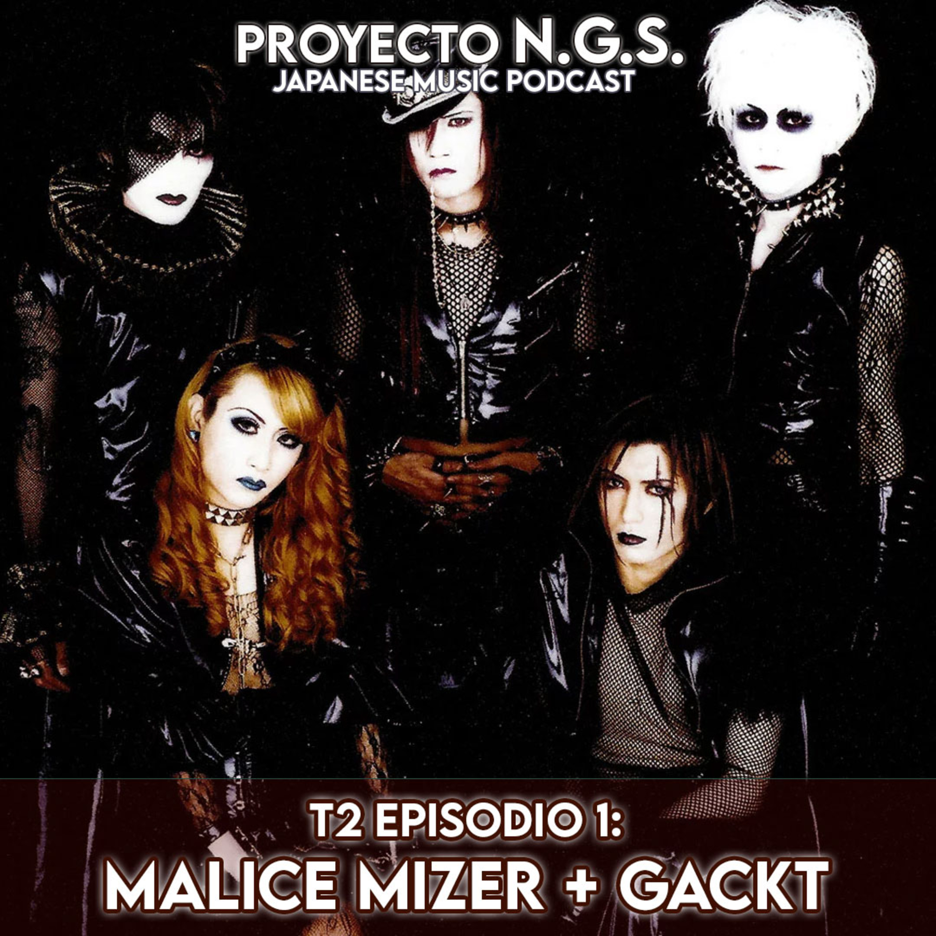 Proyecto N.G.S.