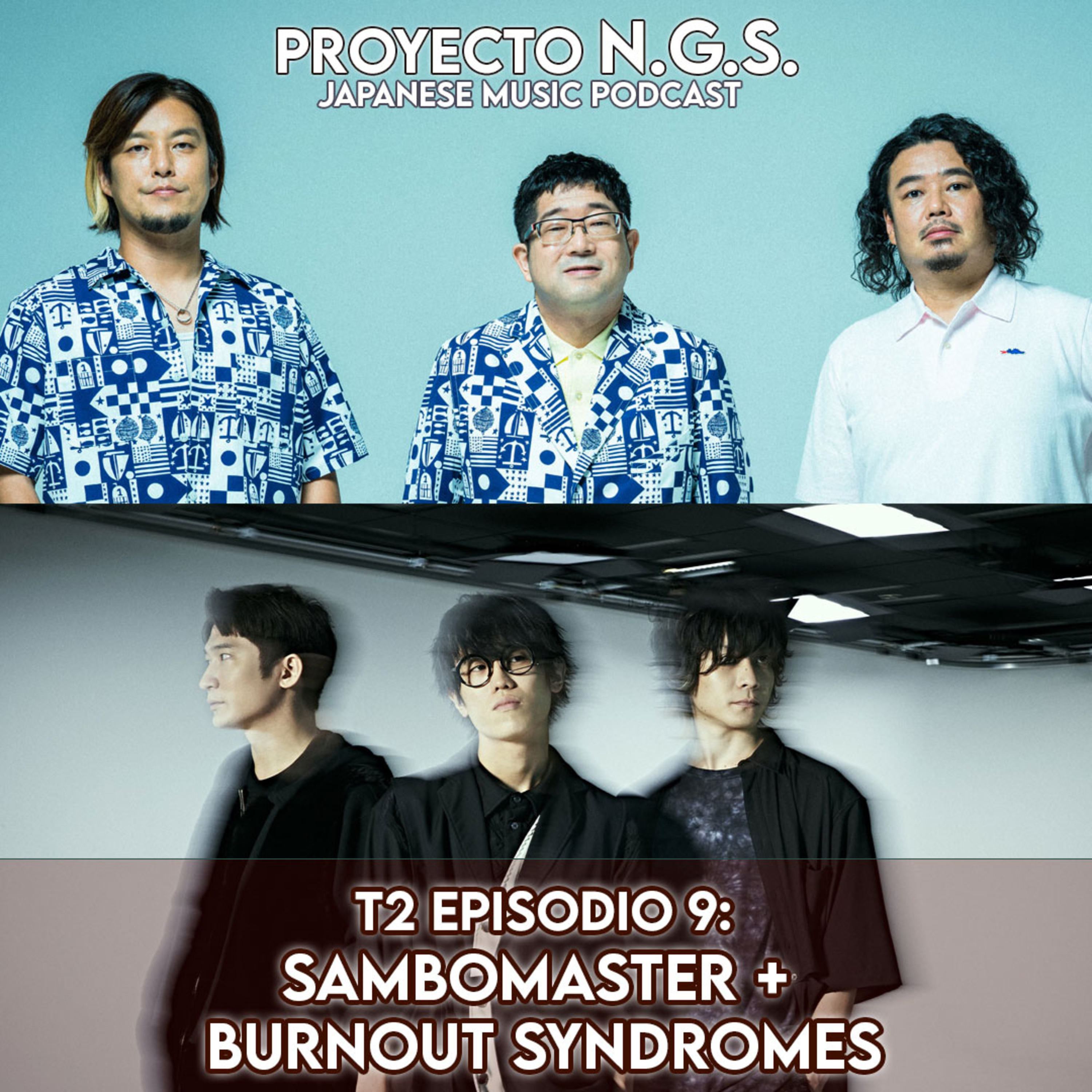 Proyecto N.G.S.