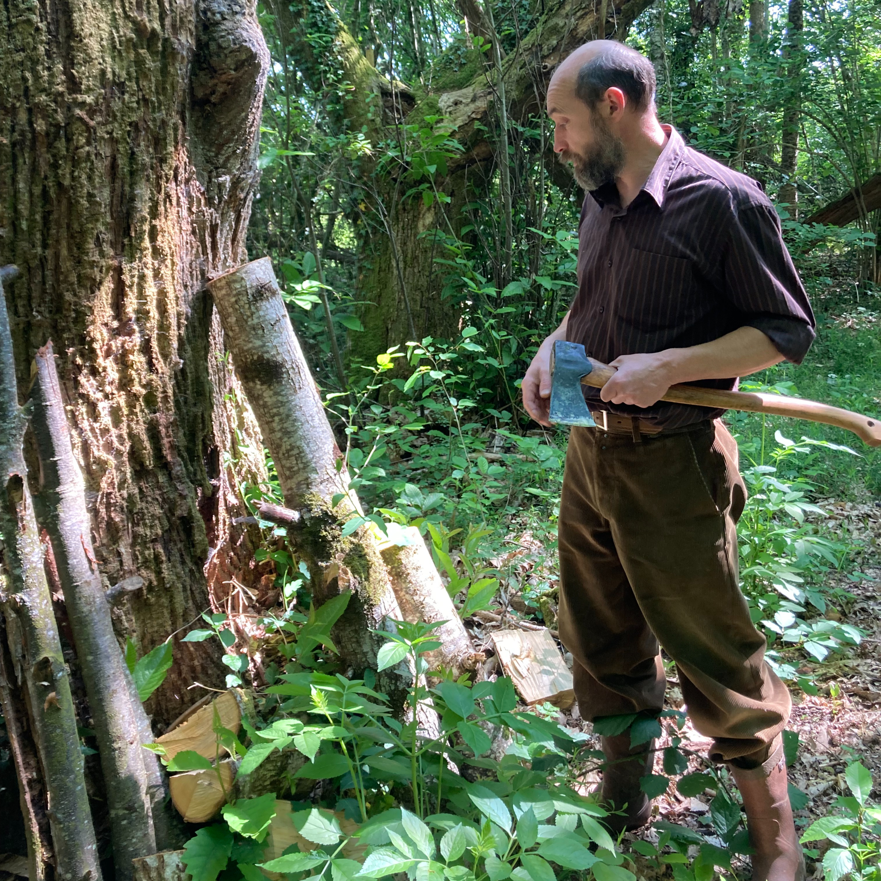 Cyril Delage ou l'homme qui épluchait des arbres episode artwork