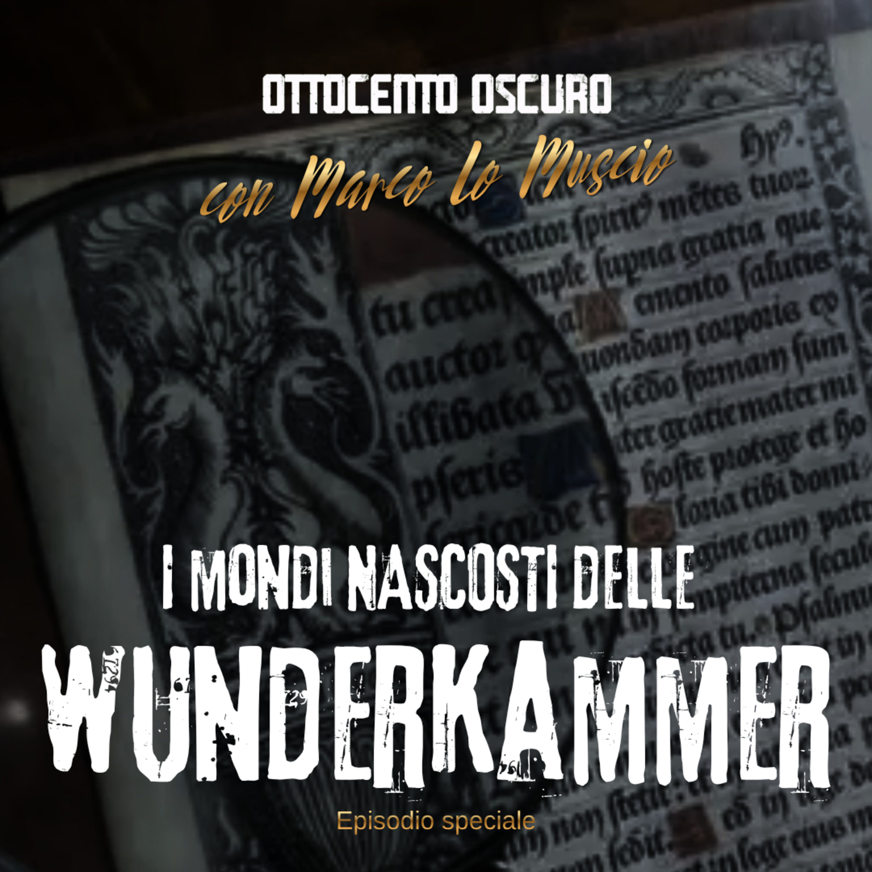I mondi nascosti delle wunderkammer - feat. Marco Lo Muscio episode artwork
