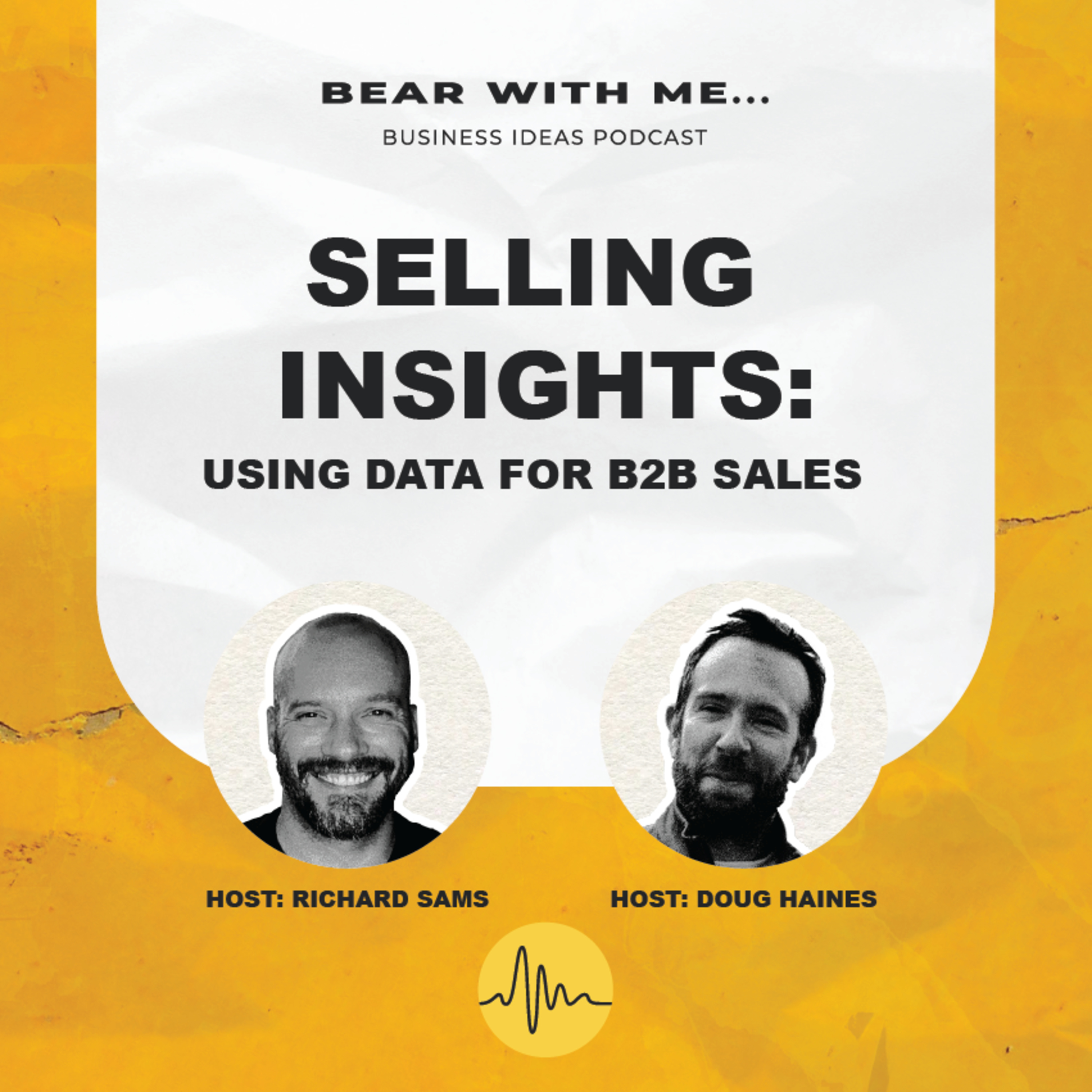 Selling Insights: Using Data For B2B Sales episode artwork