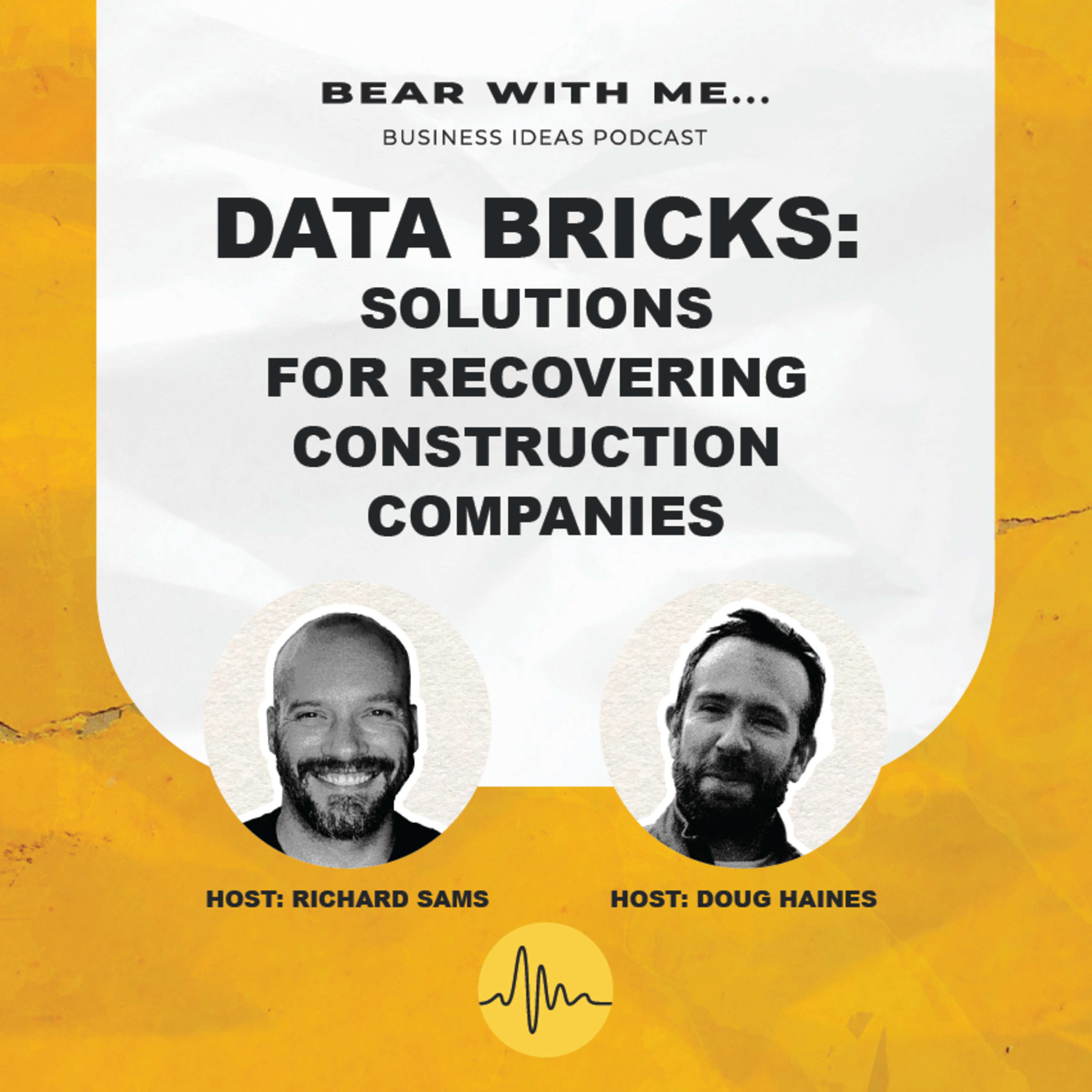 Data Bricks: Solutions For Recovering Construction Companies episode artwork