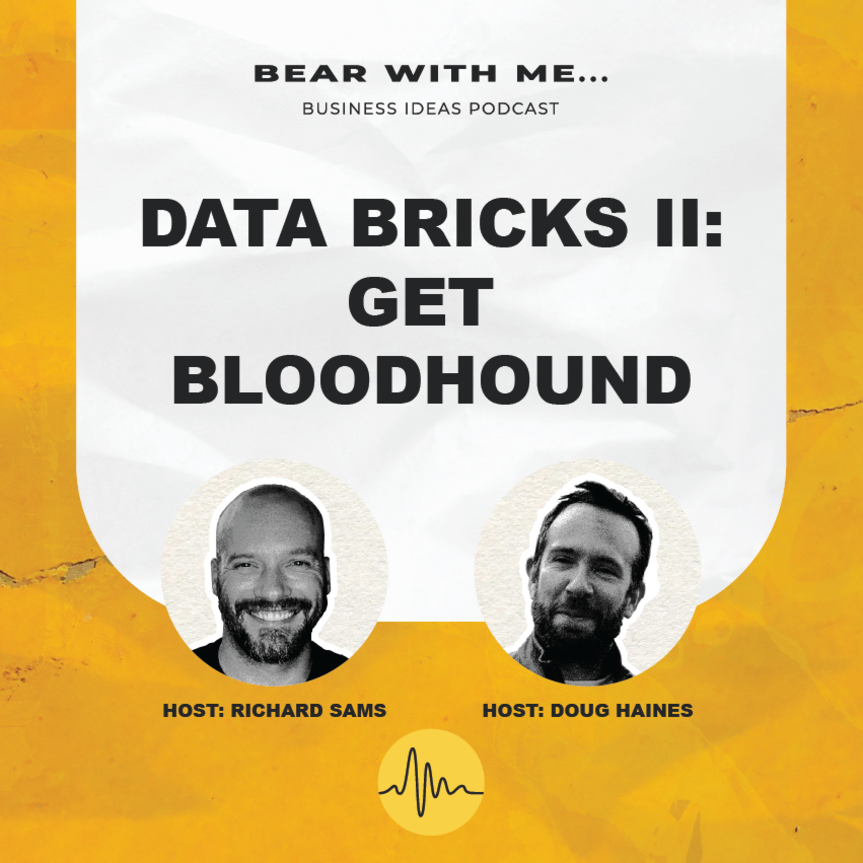 Data Bricks Part 2: Get Bloodhound episode artwork
