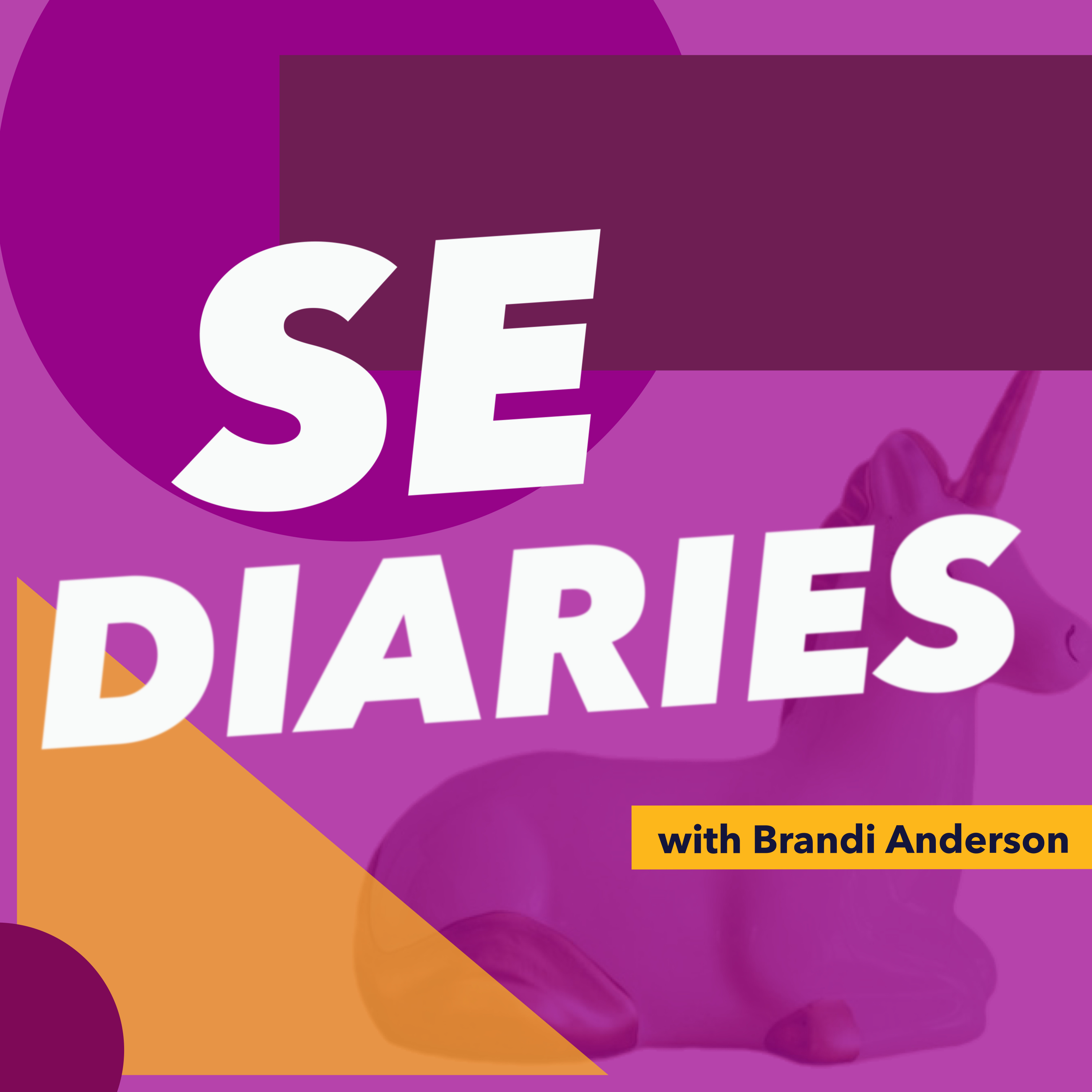 Introducing SE Diaries Season 1: Journeys