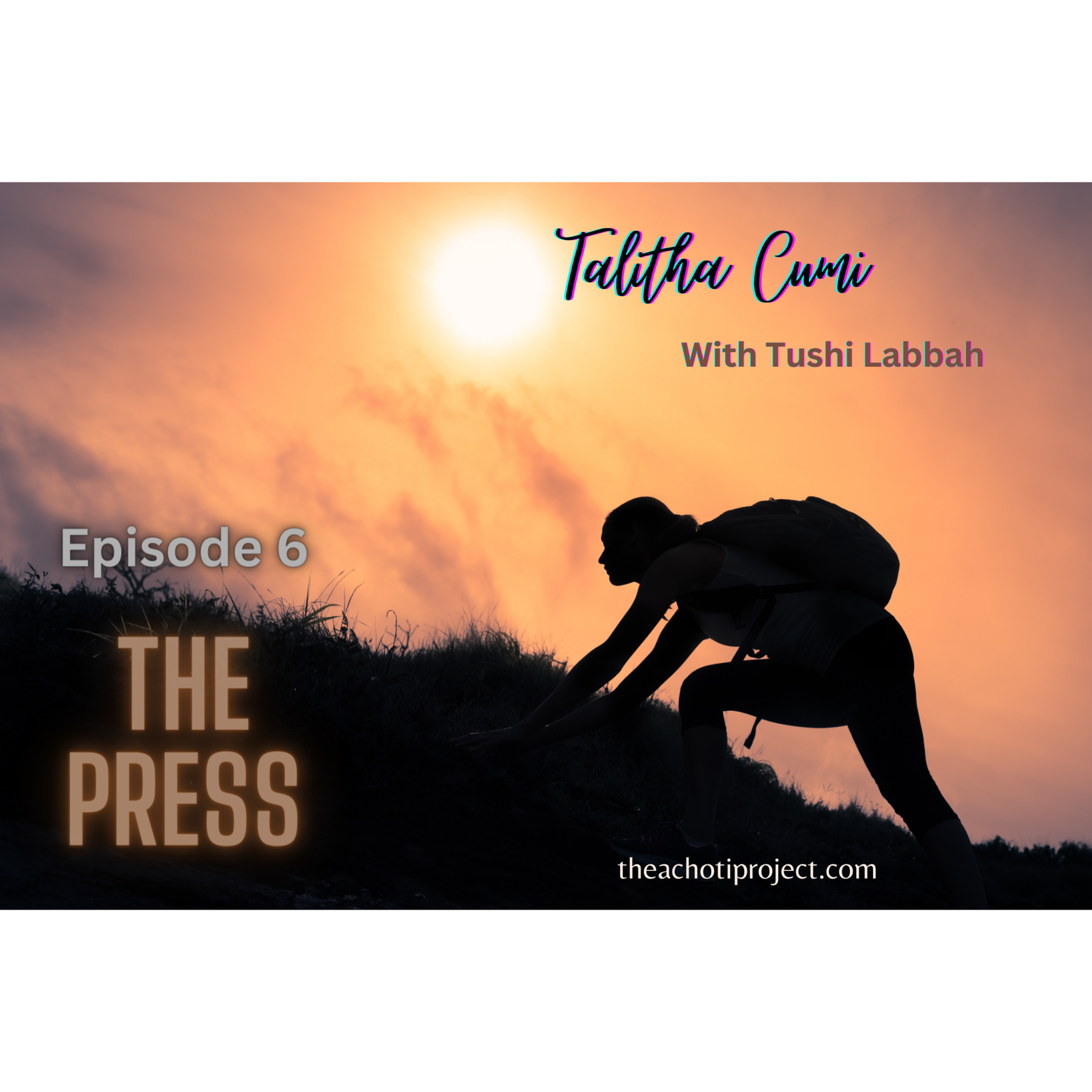 The Press: Fight the Lies episode artwork