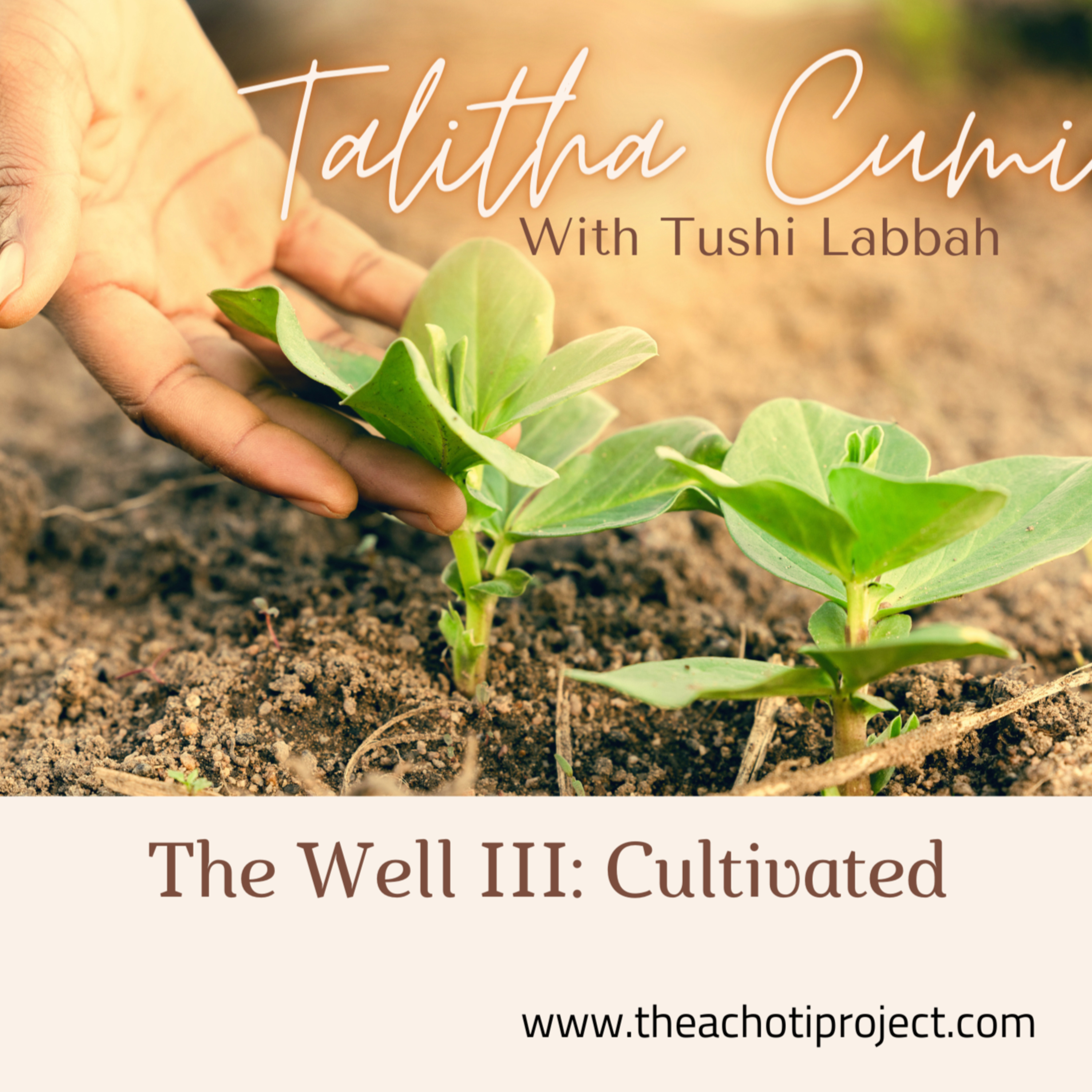 The Well III: Cultivated