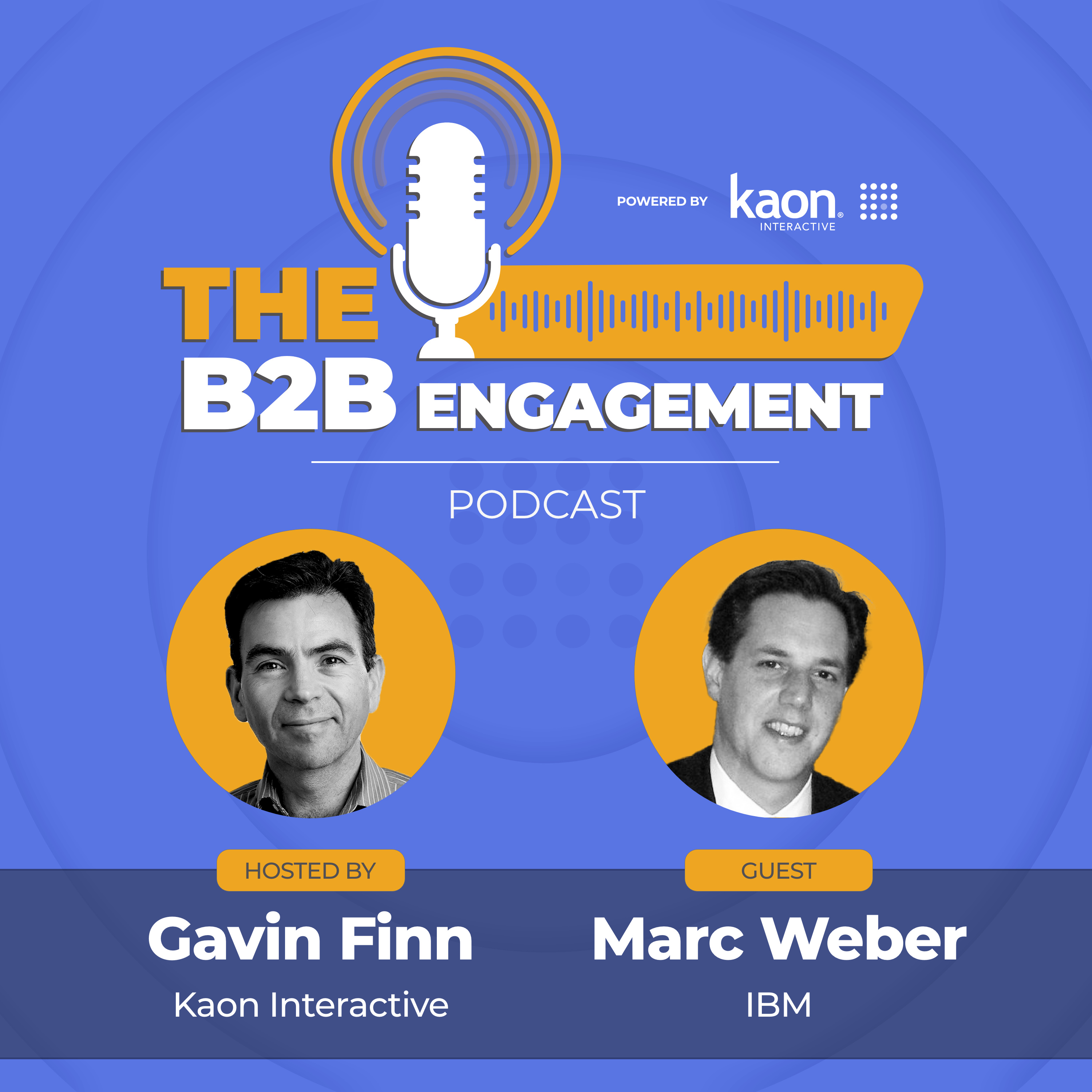 Blurring Traditional Sales Boundaries (IBM) episode artwork