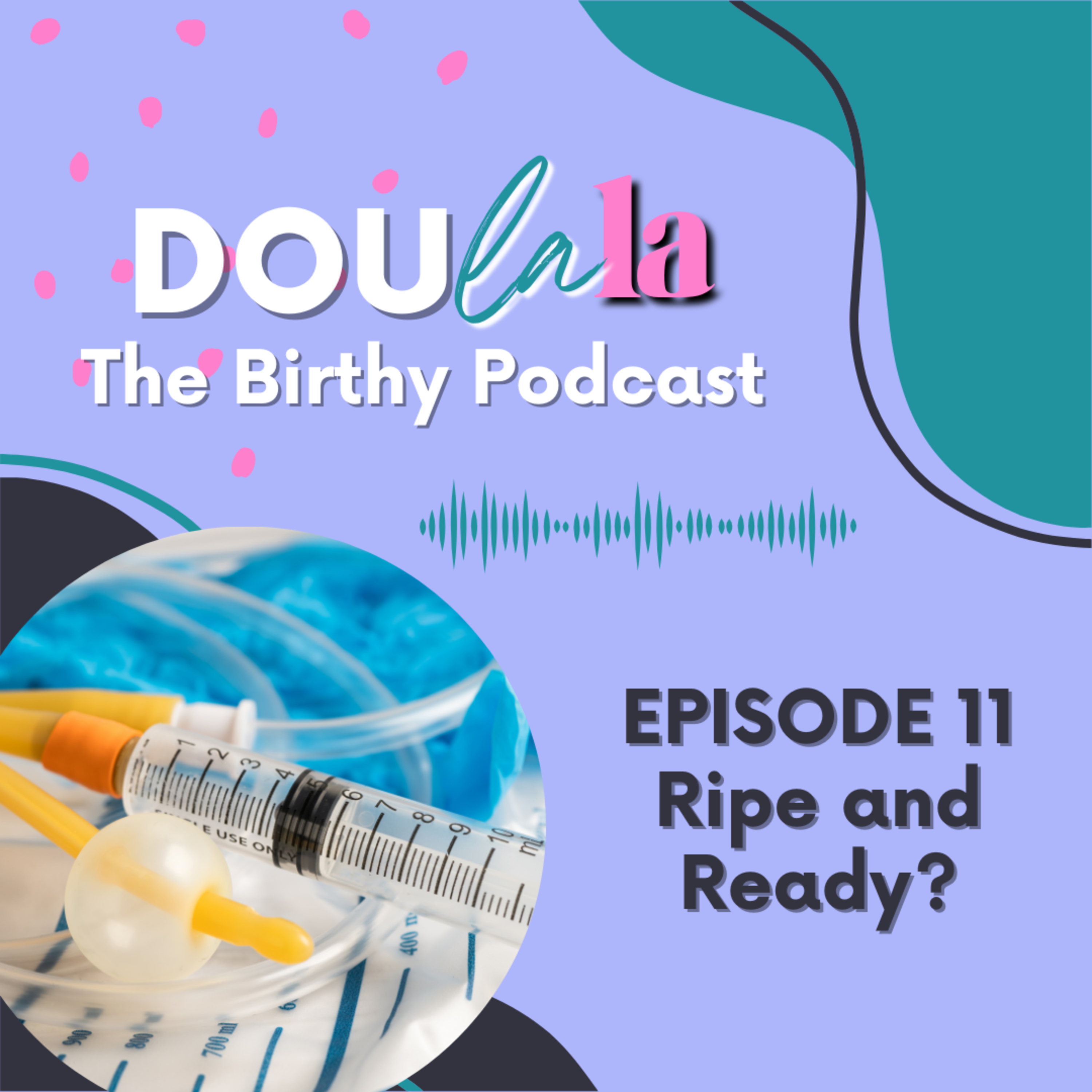 Ripe and ready? The basics of induction... episode artwork