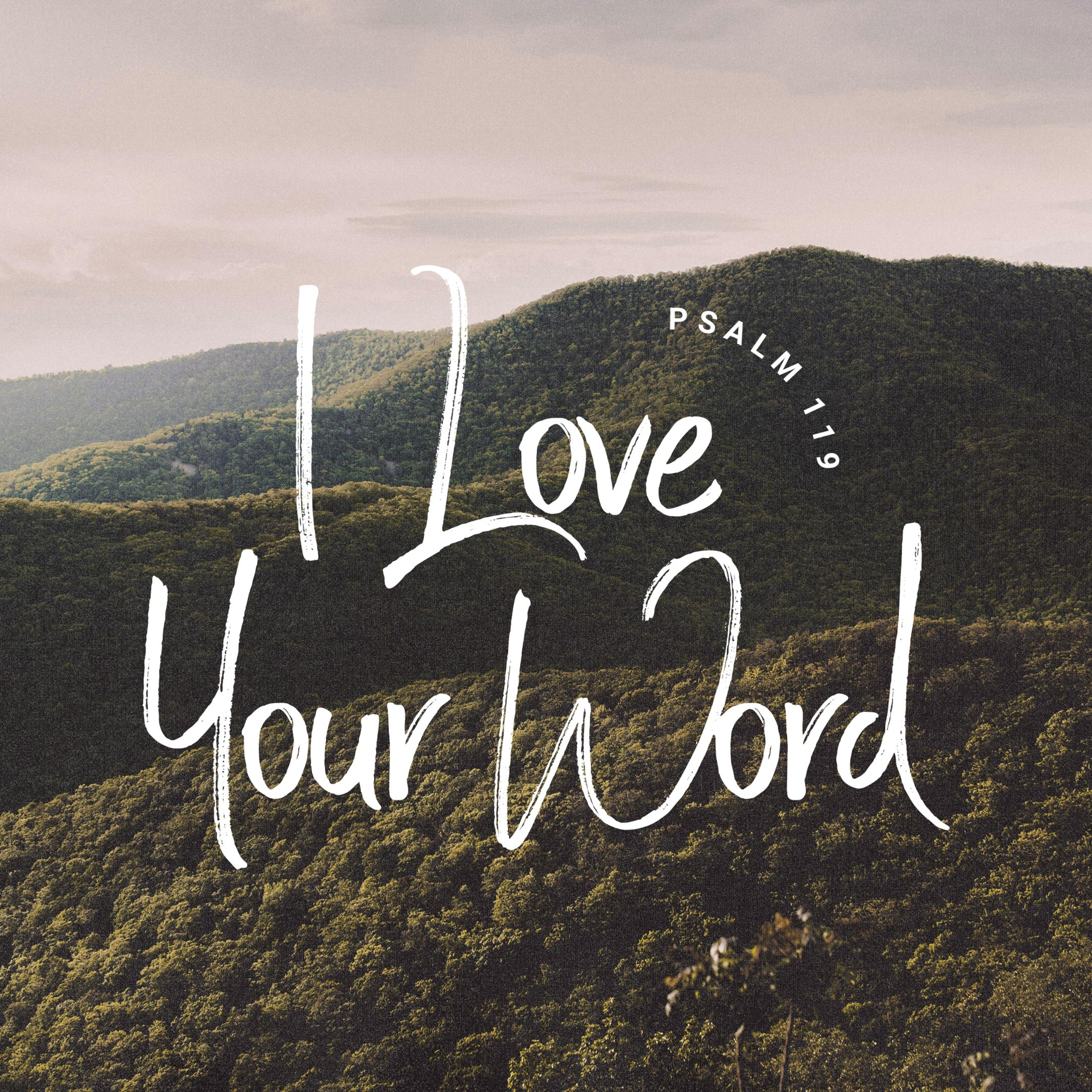 I Love Your Word - Psalm 119 - Episode 2. The Inspiration & Authority of Scripture episode artwork