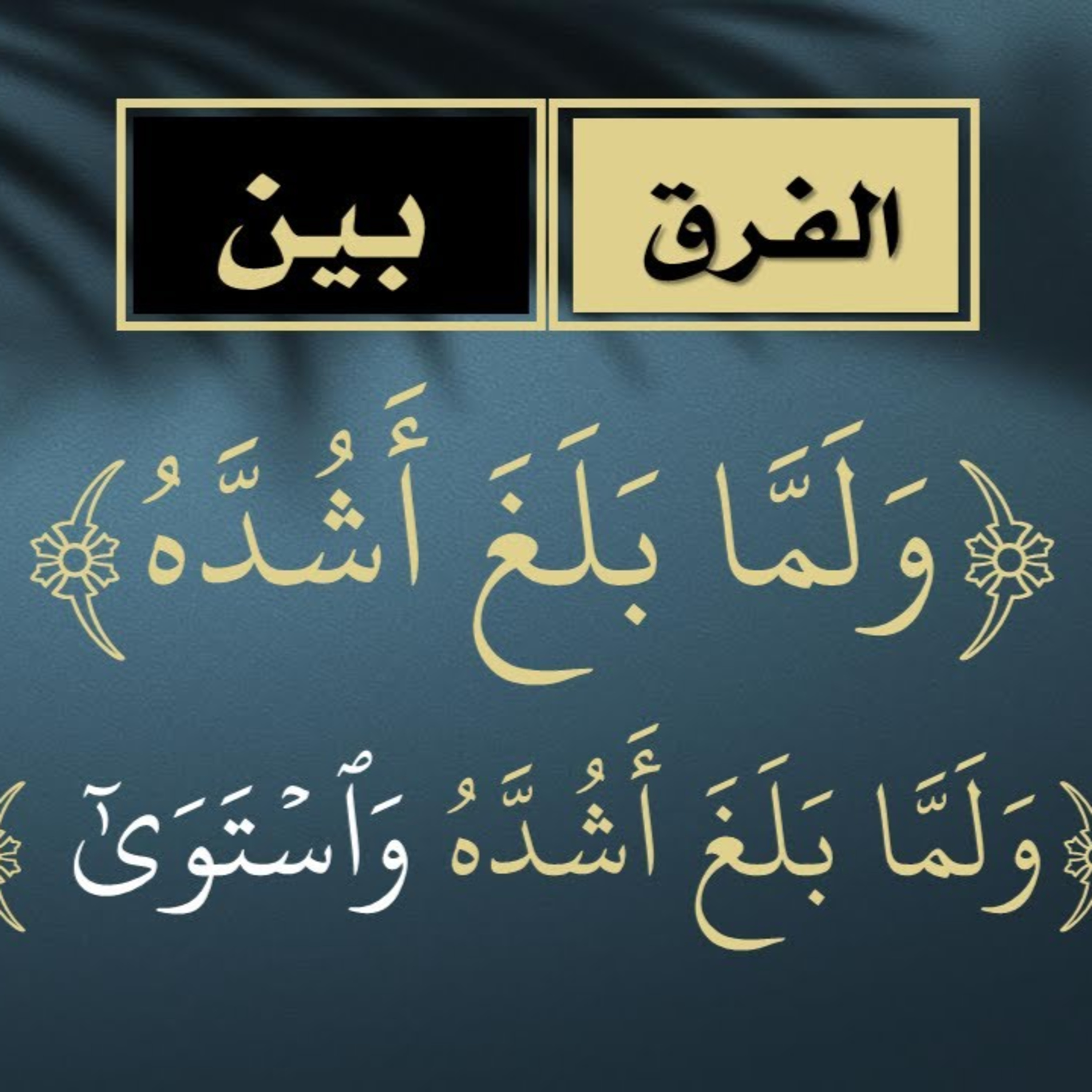 الحلقة 04: الفرق بين (ولما بلغ أشده) و(ولما بلغ اشده واستوى) episode artwork
