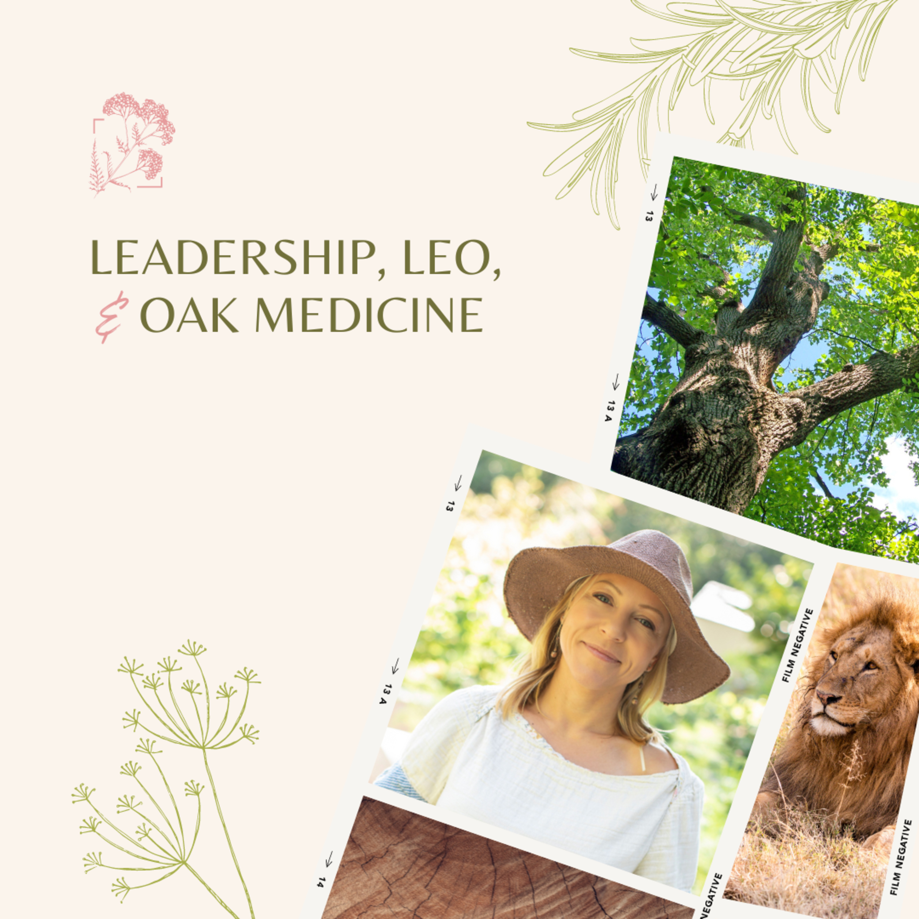 Leadership, Leo, and Oak Medicine episode artwork