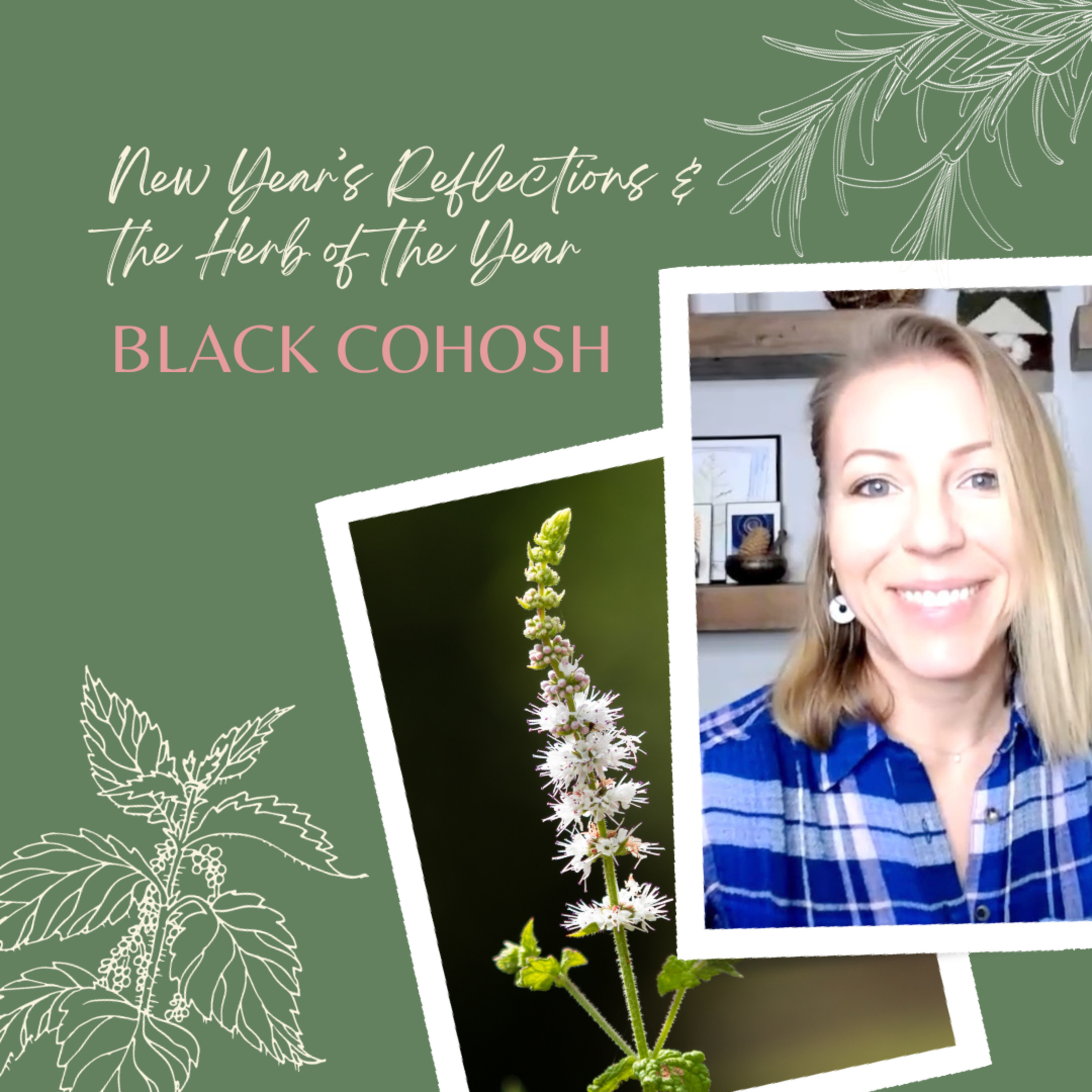 New Year's Reflections & The Herb of the Year: Black Cohosh episode artwork
