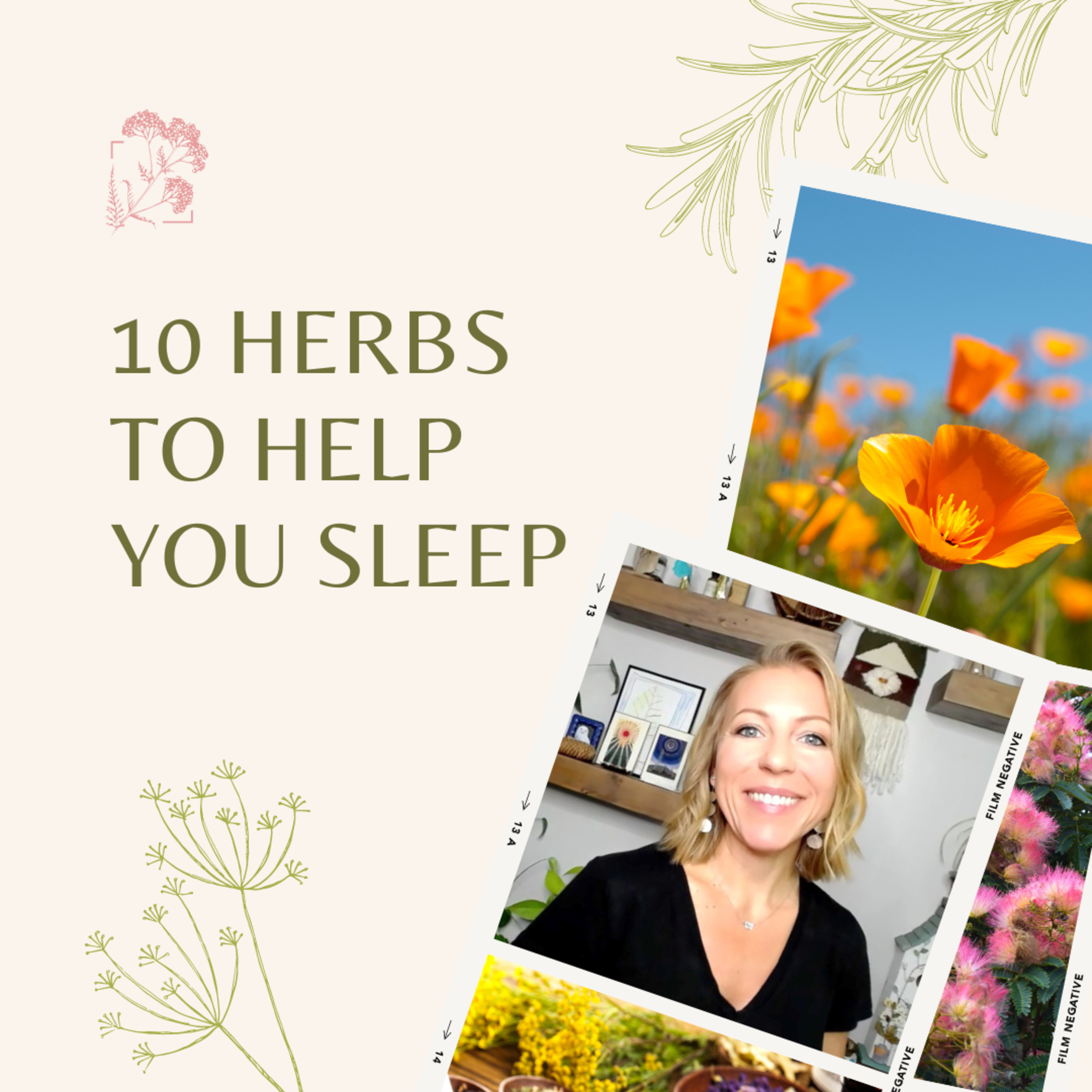 Sky House Herbs